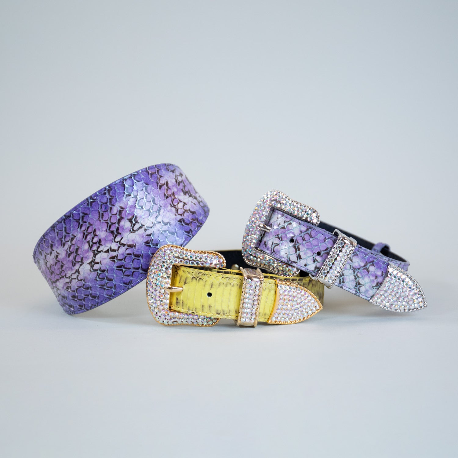 Monarch Snakeprint Collars