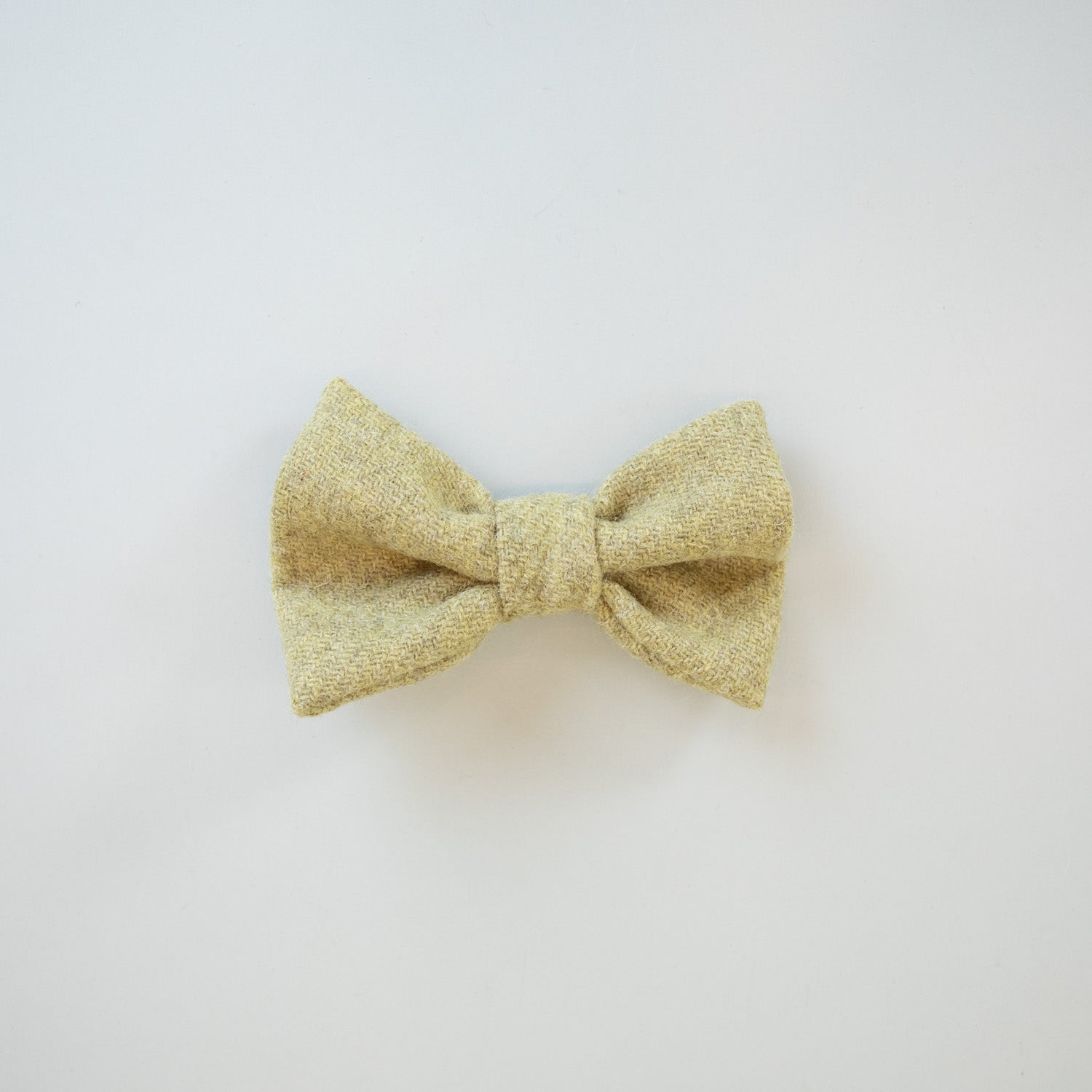 The Bardsey Bow Tie