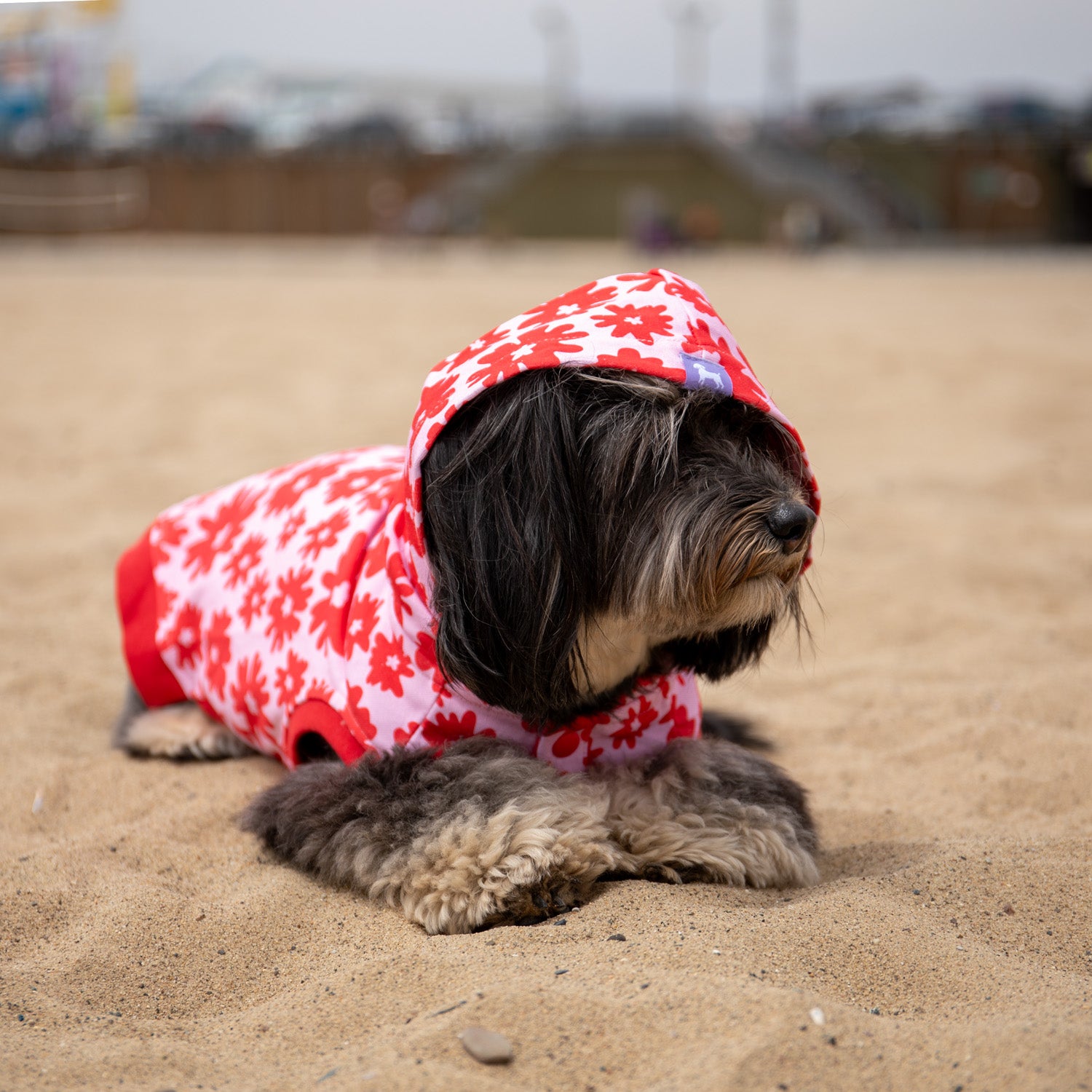 Florence Button-up Hoodie