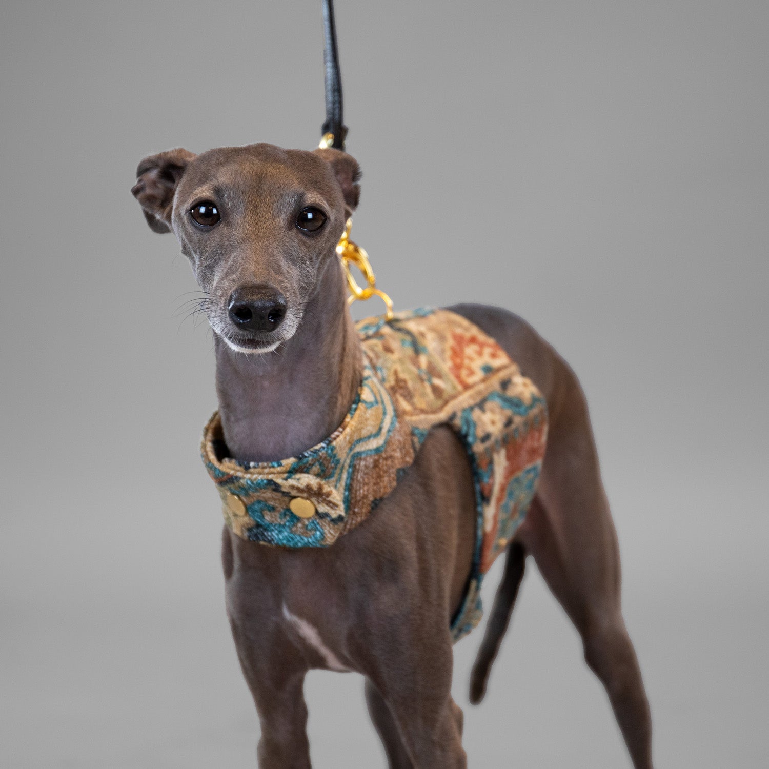 Boho Woven Harness