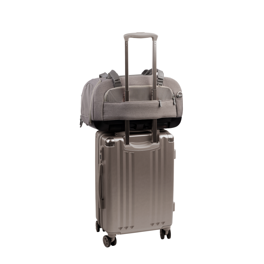 Dupree II Travel System