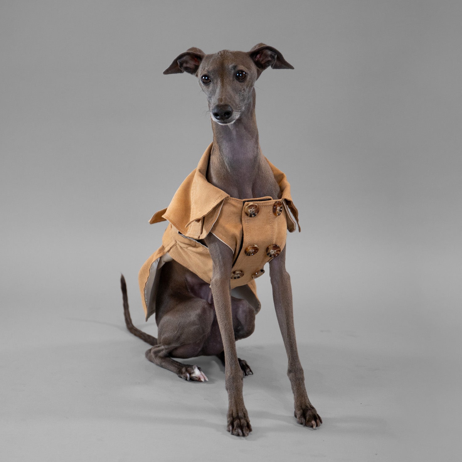 Sweetheart Suede Overcoat