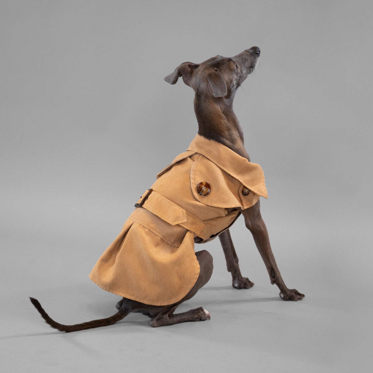 Sweetheart Suede Overcoat