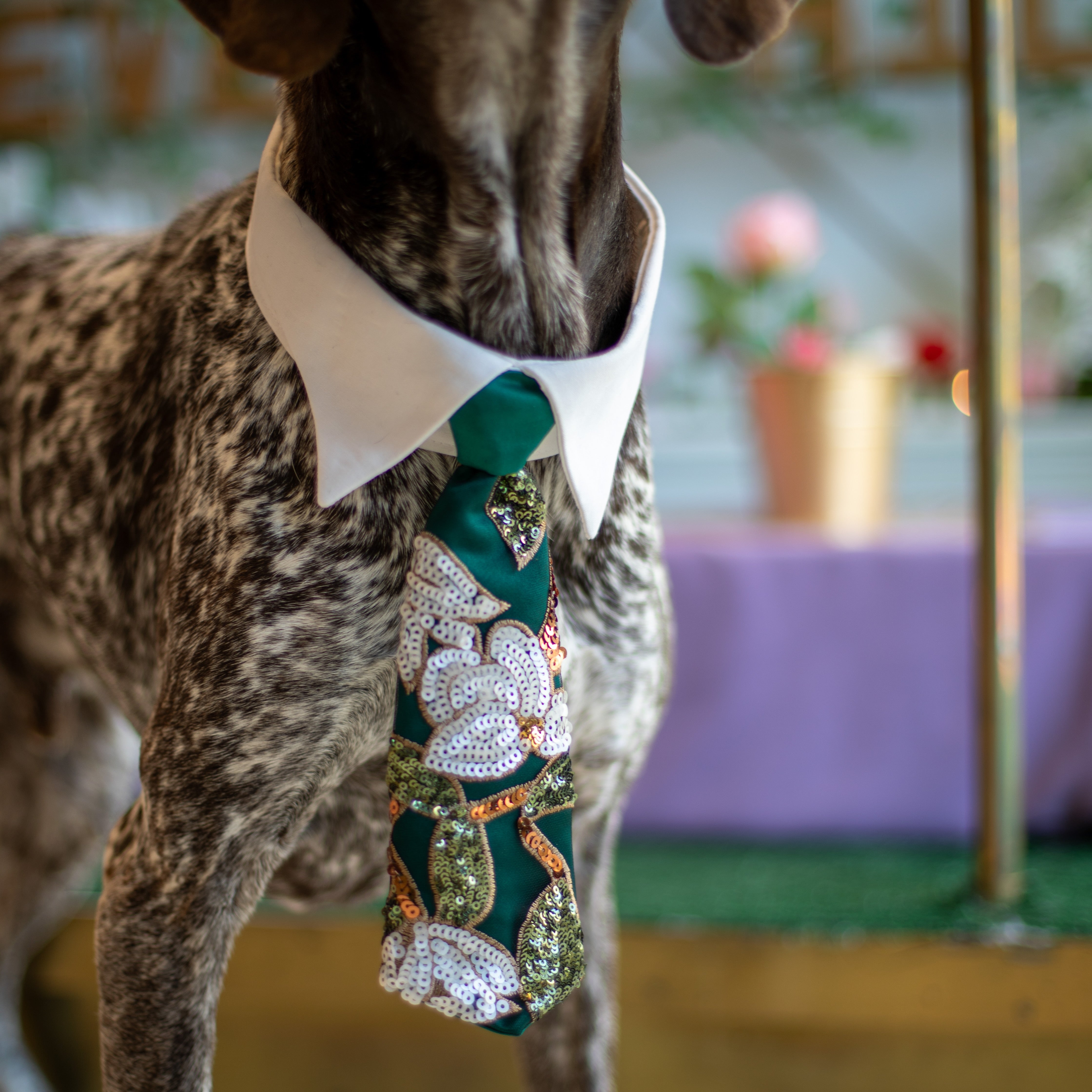 Pixie Poinsettia Tie