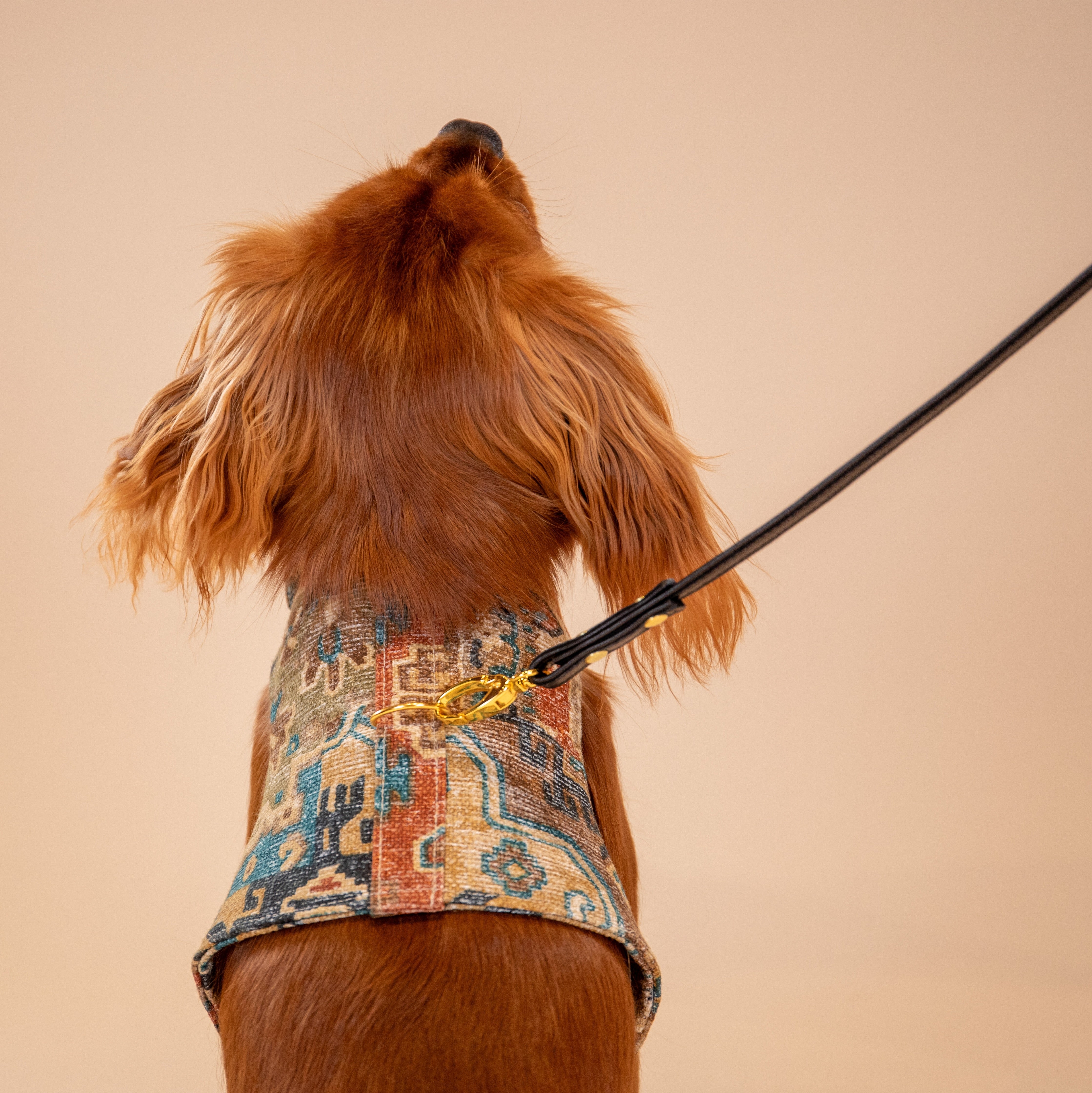 Boho Woven Harness