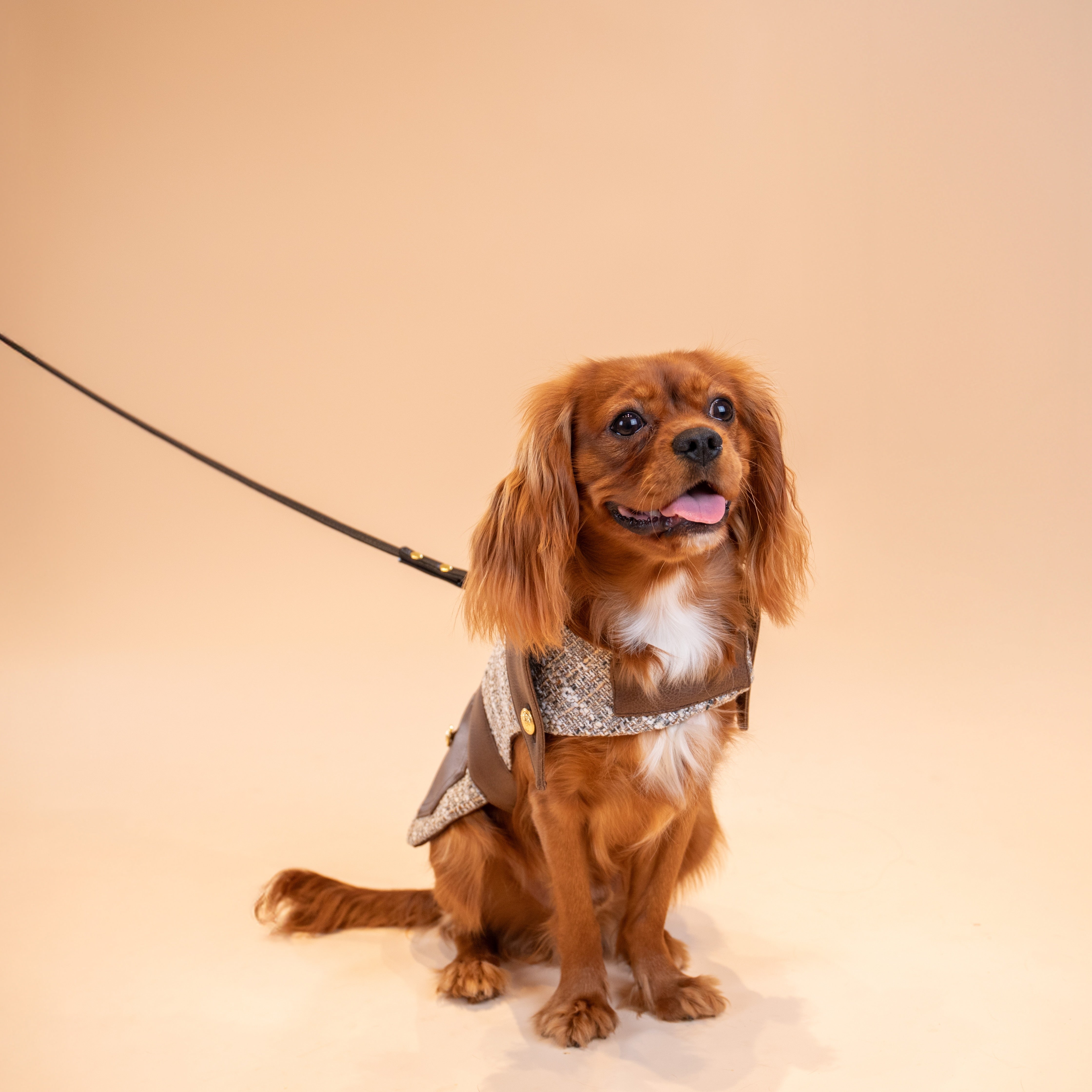 The Lucien Saddle Jacket