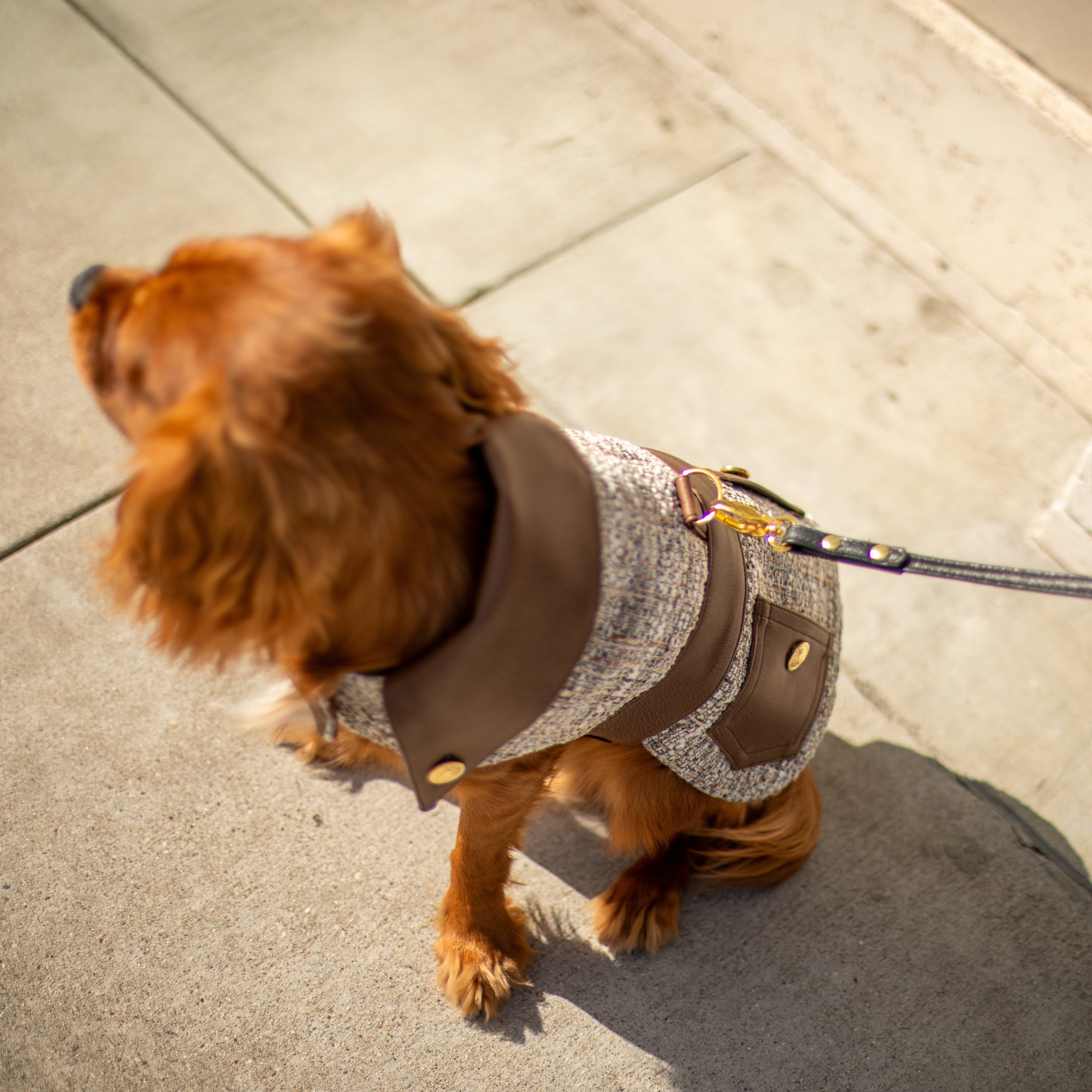 The Lucien Saddle Jacket