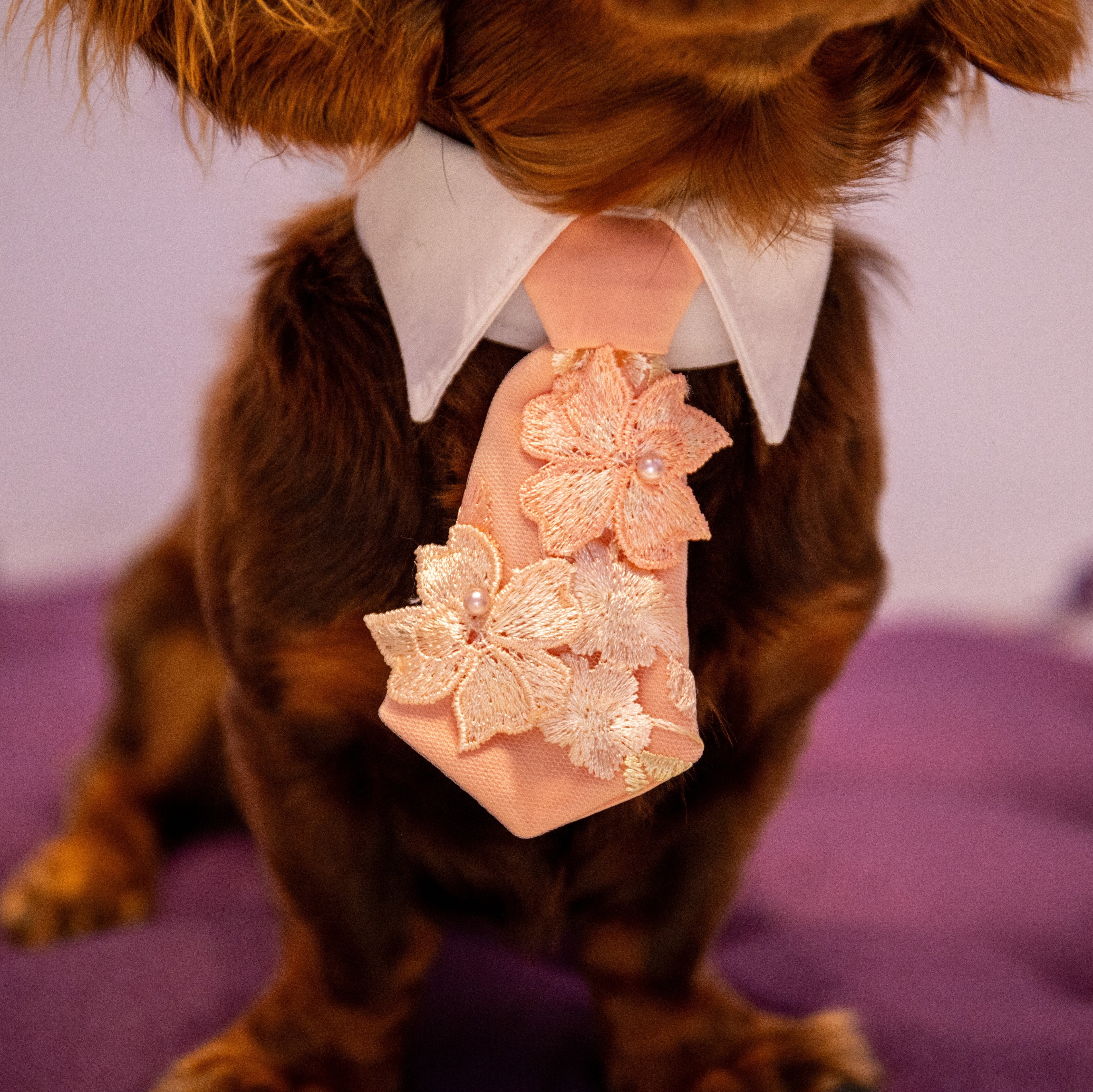 Enchanted Garden Tie