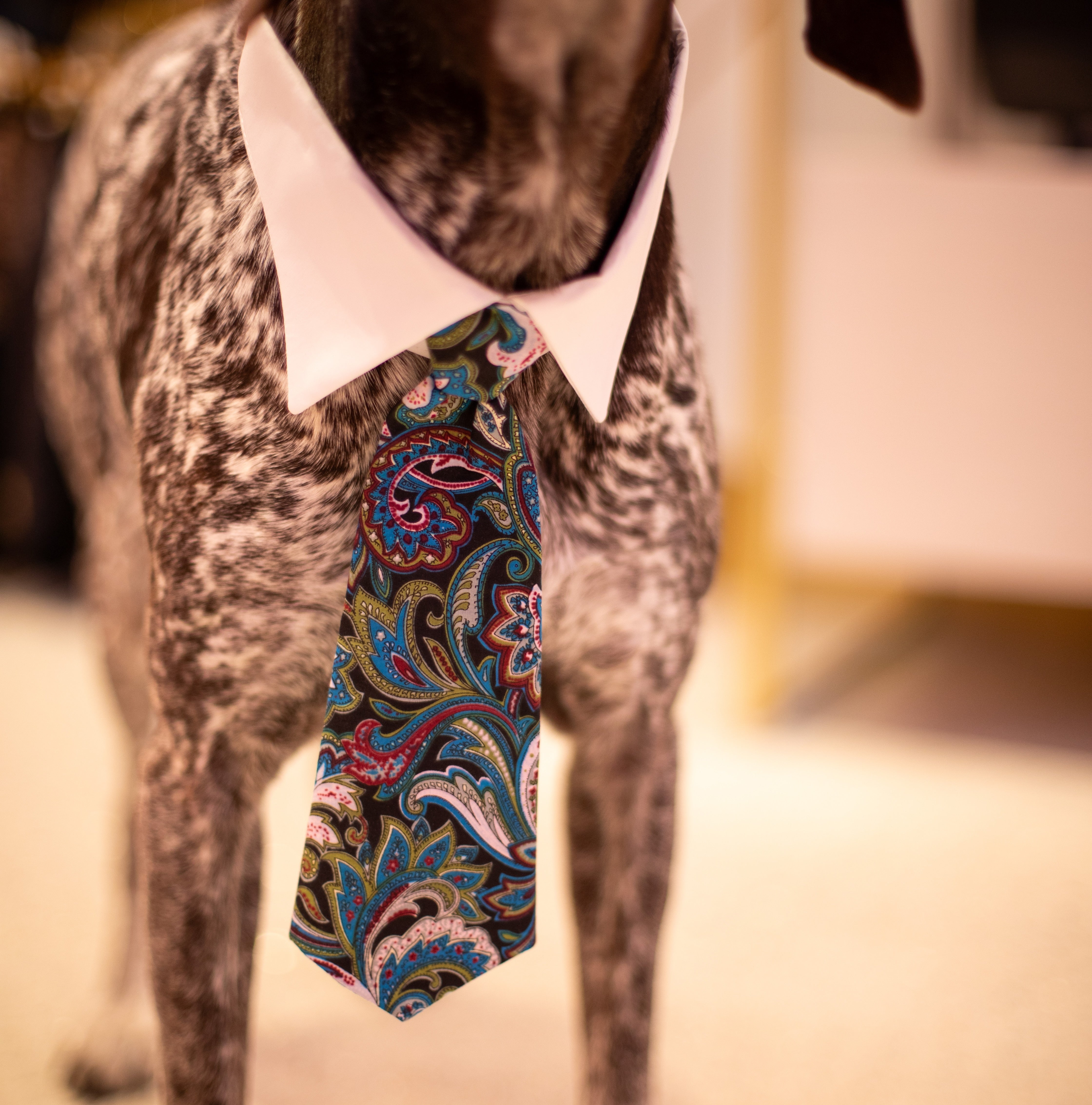 Paisley Tie