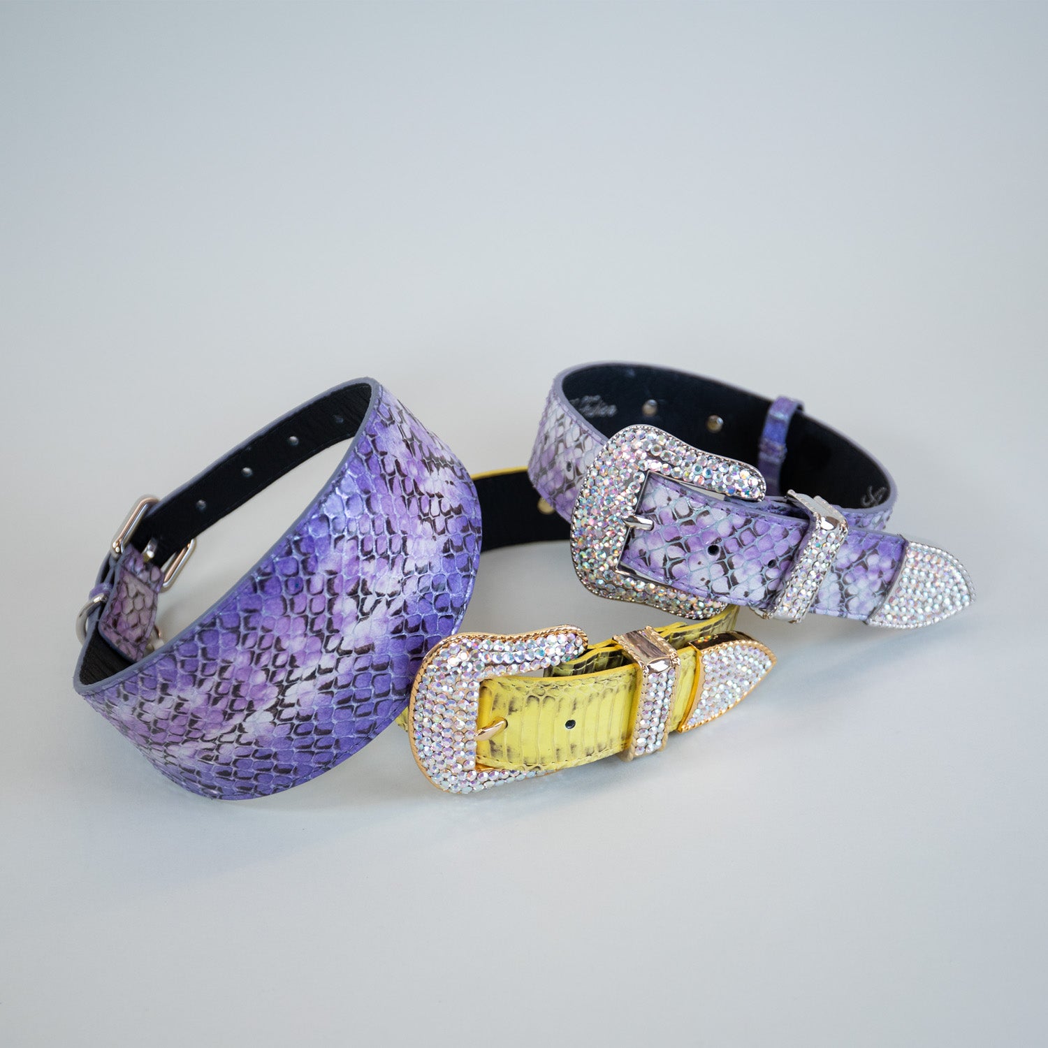 Monarch Snakeprint Collars