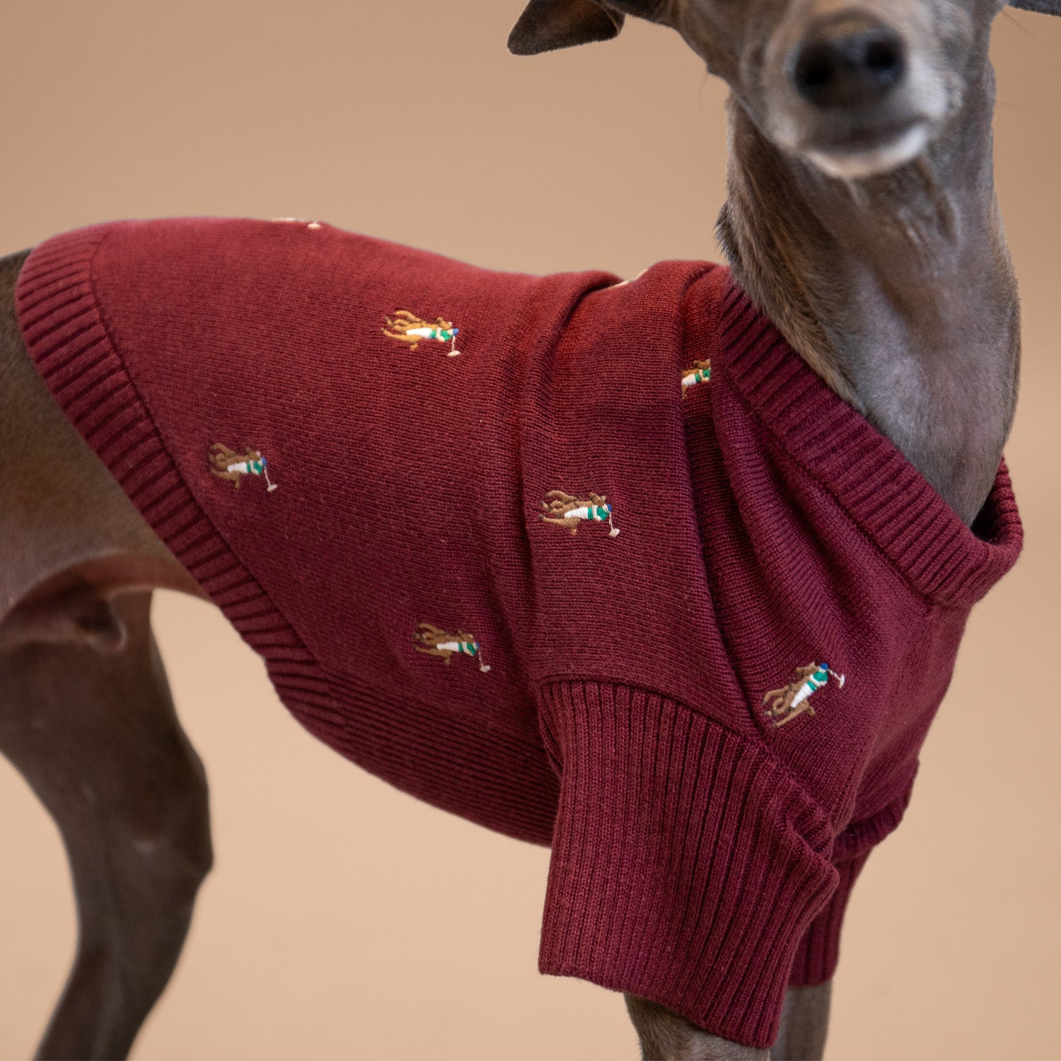 Ralph Lauren Logo Sweater