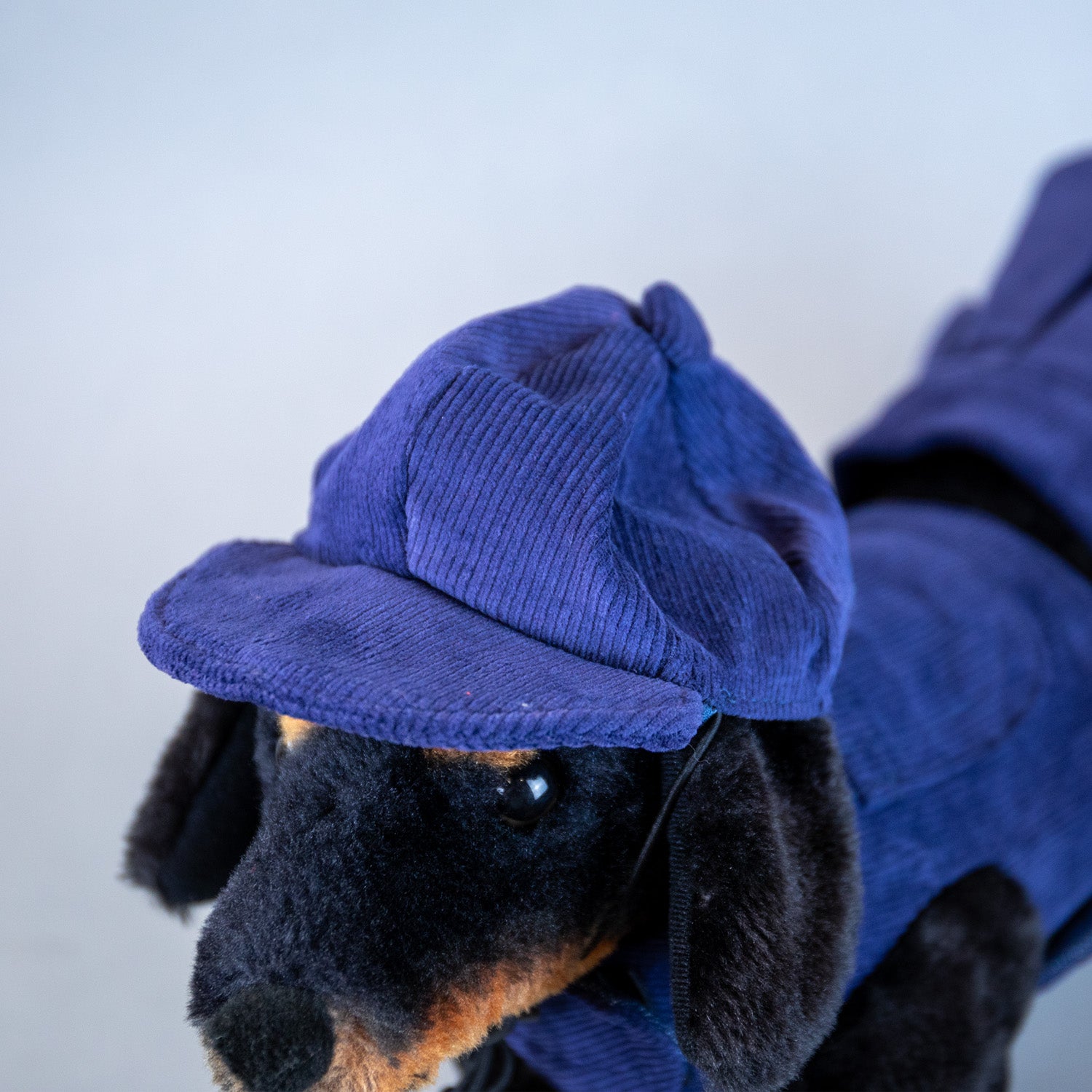 Cozy Corduroy Hat