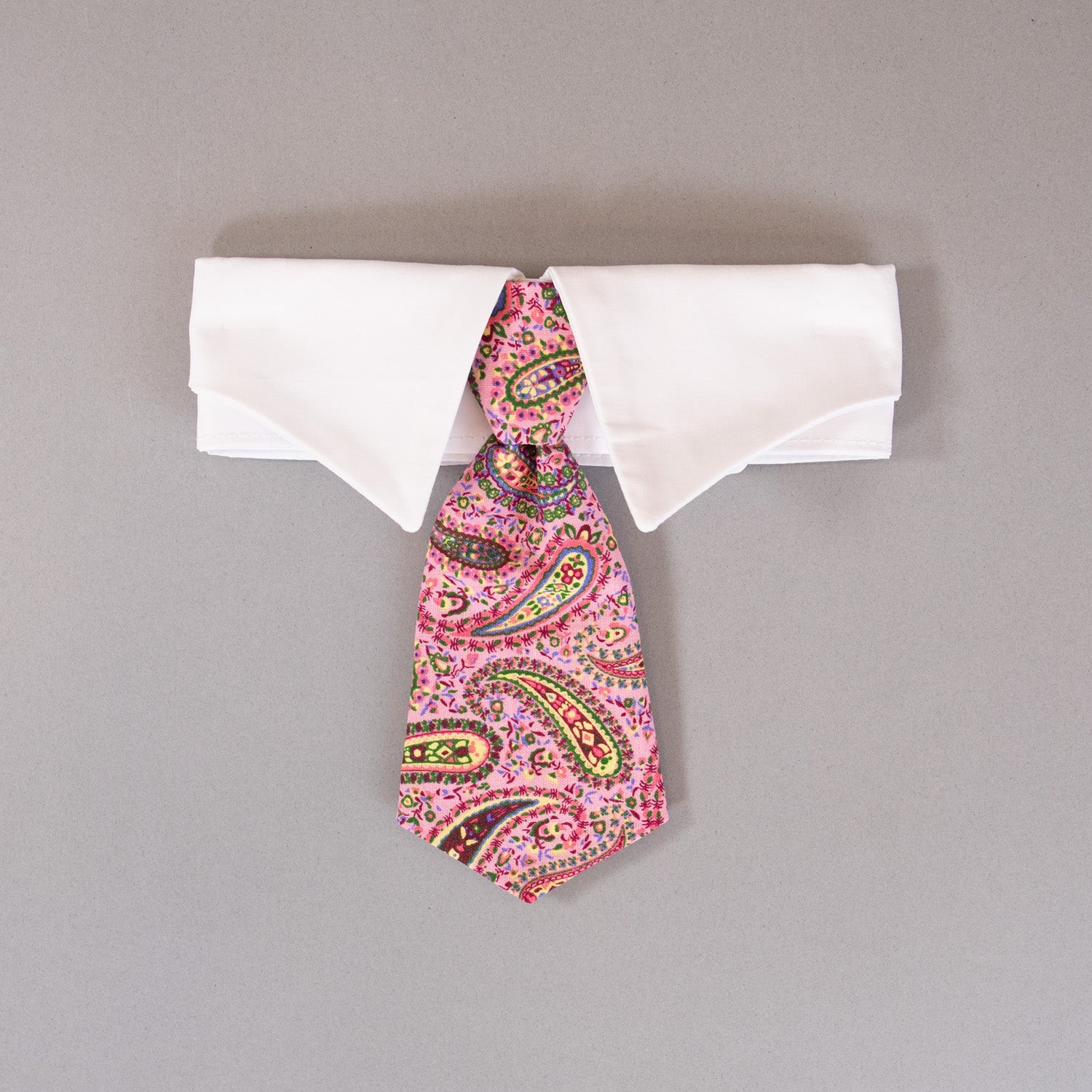 Paisley Tie