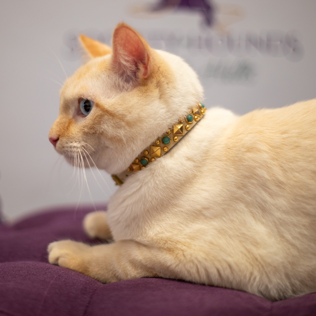 The Sphinx Collar