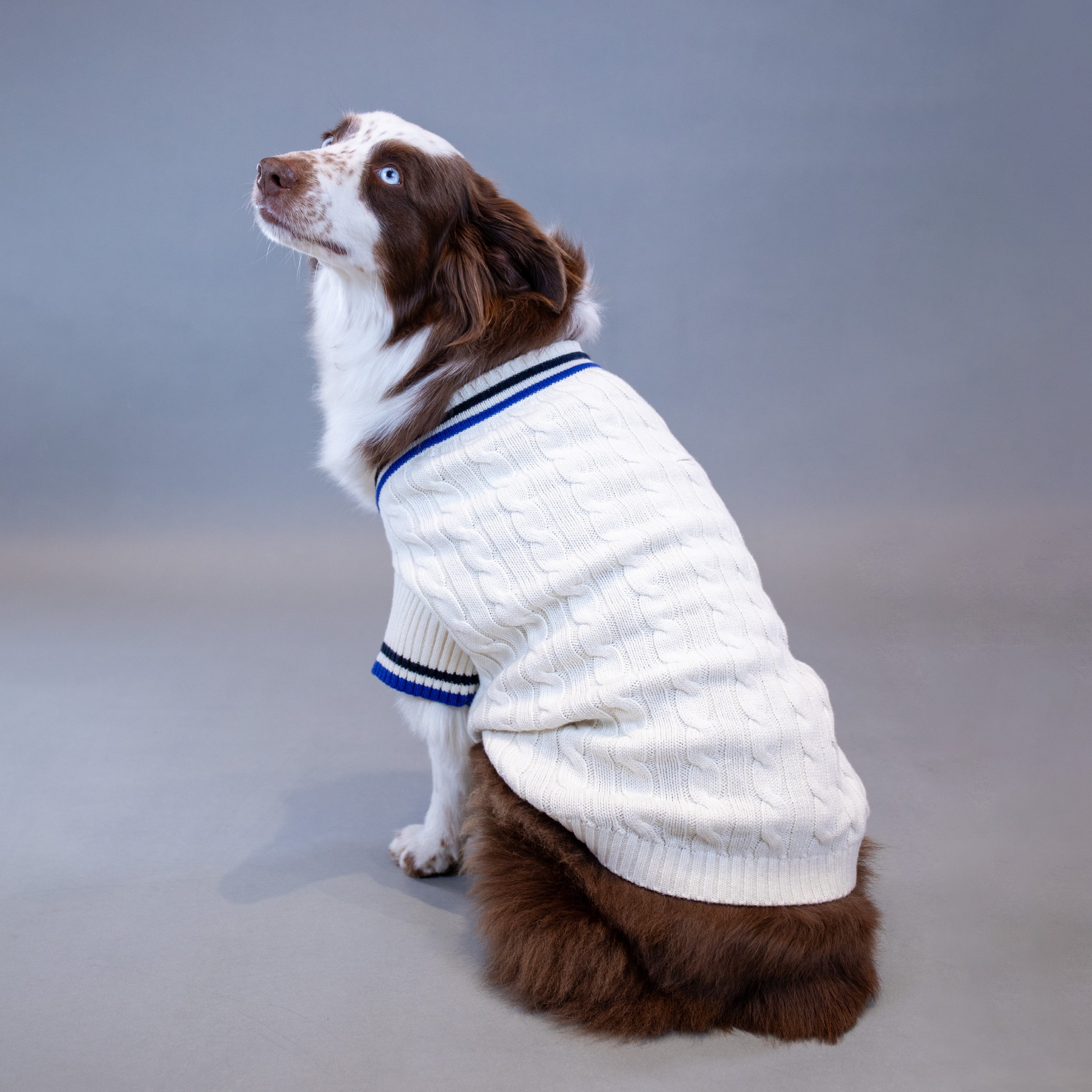 Ralph Lauren Cricket Sweater