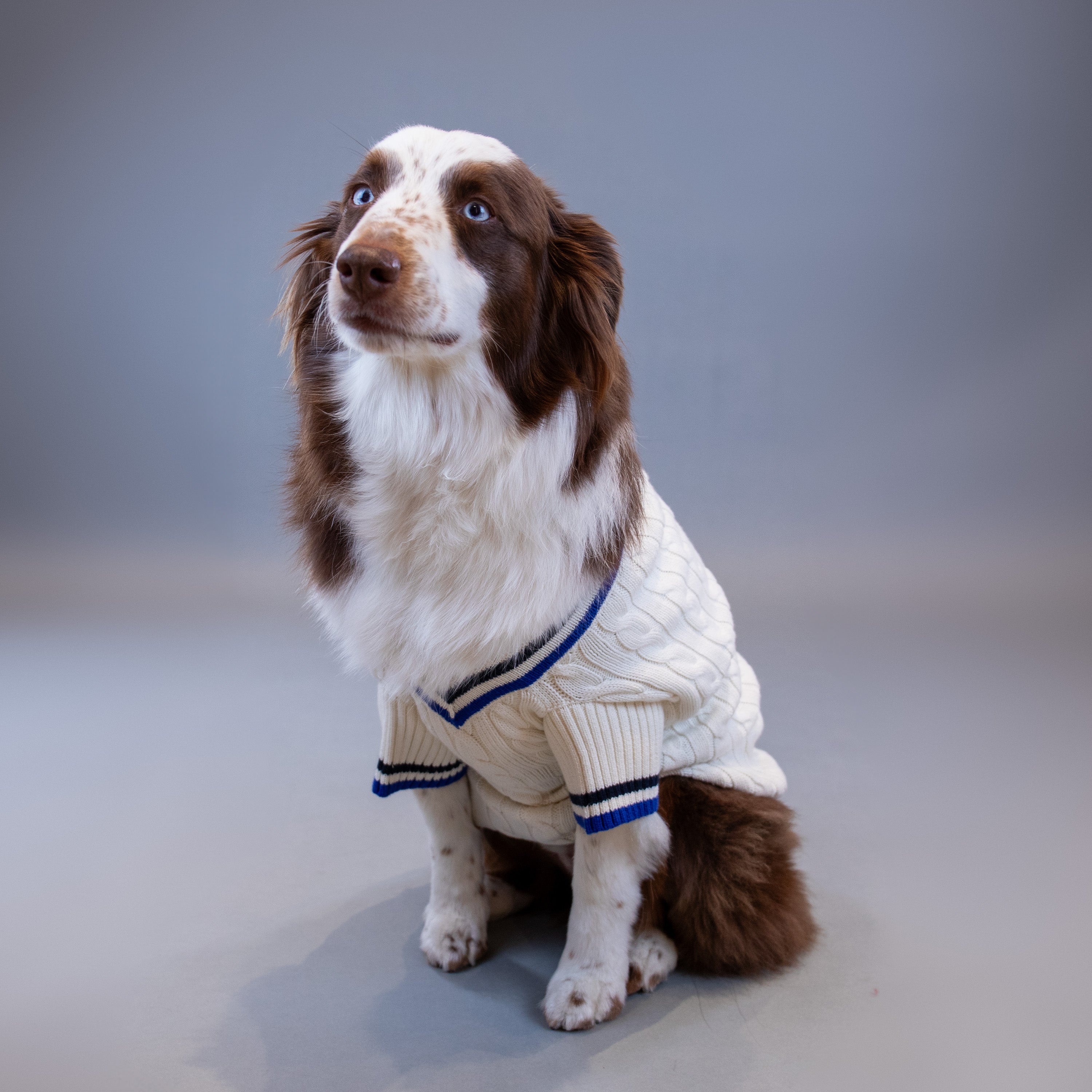 Ralph Lauren Cricket Sweater