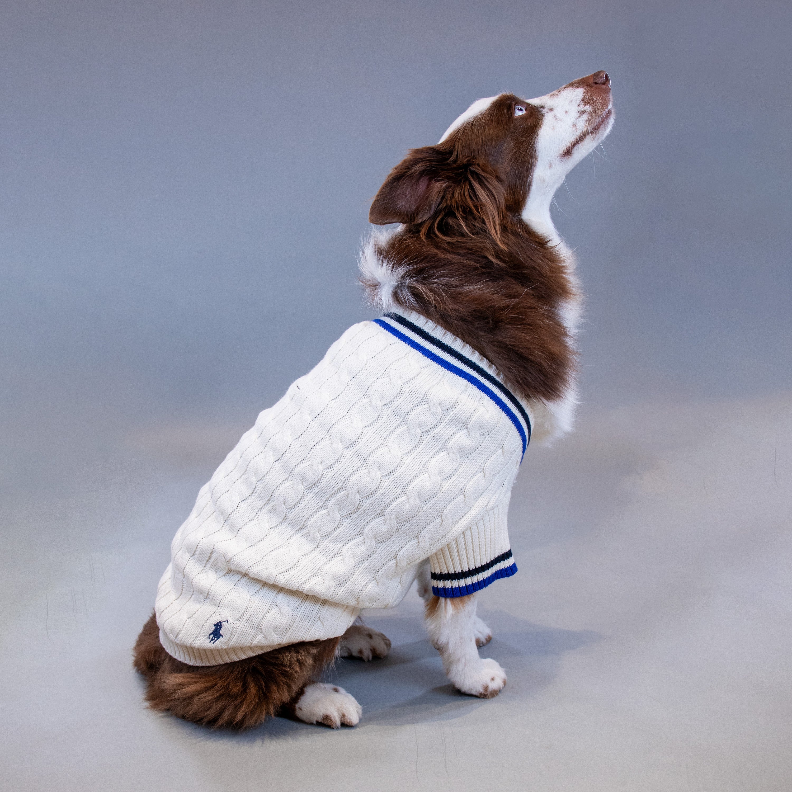 Ralph Lauren Cricket Sweater