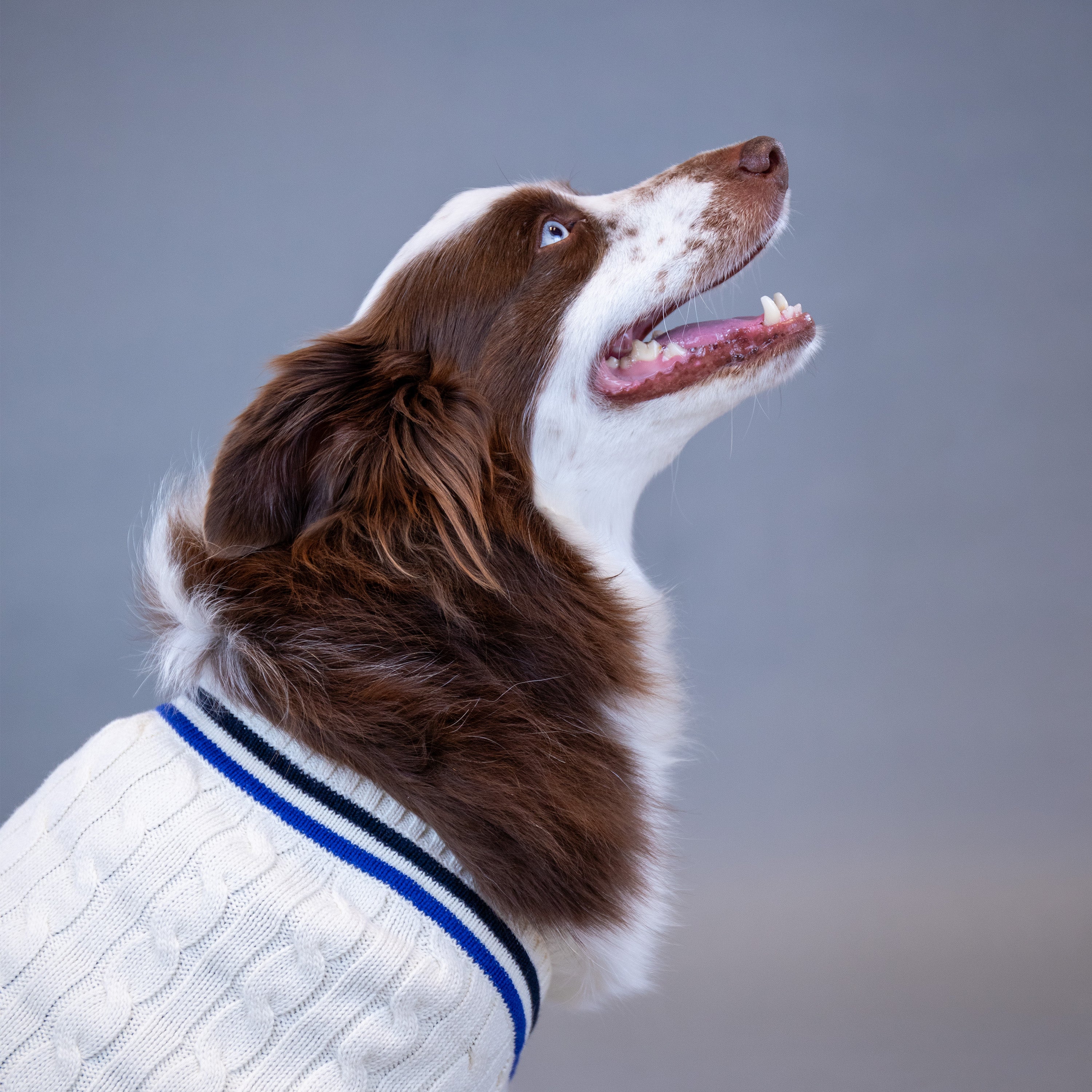 Ralph Lauren Cricket Sweater