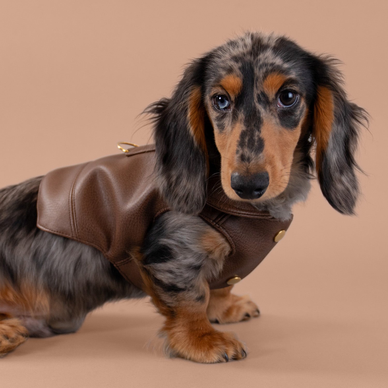 Woodland Faux Leather Jacket