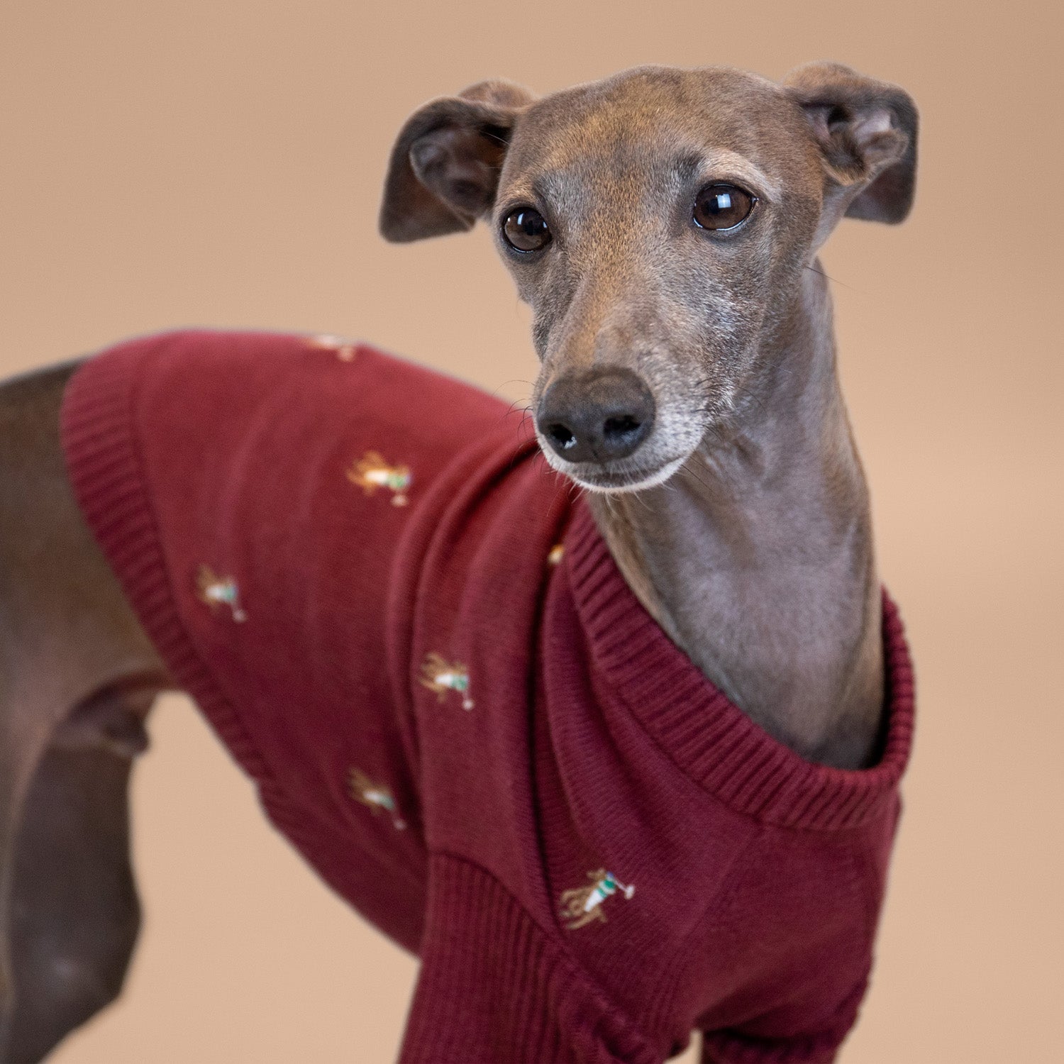 Ralph Lauren Logo Sweater