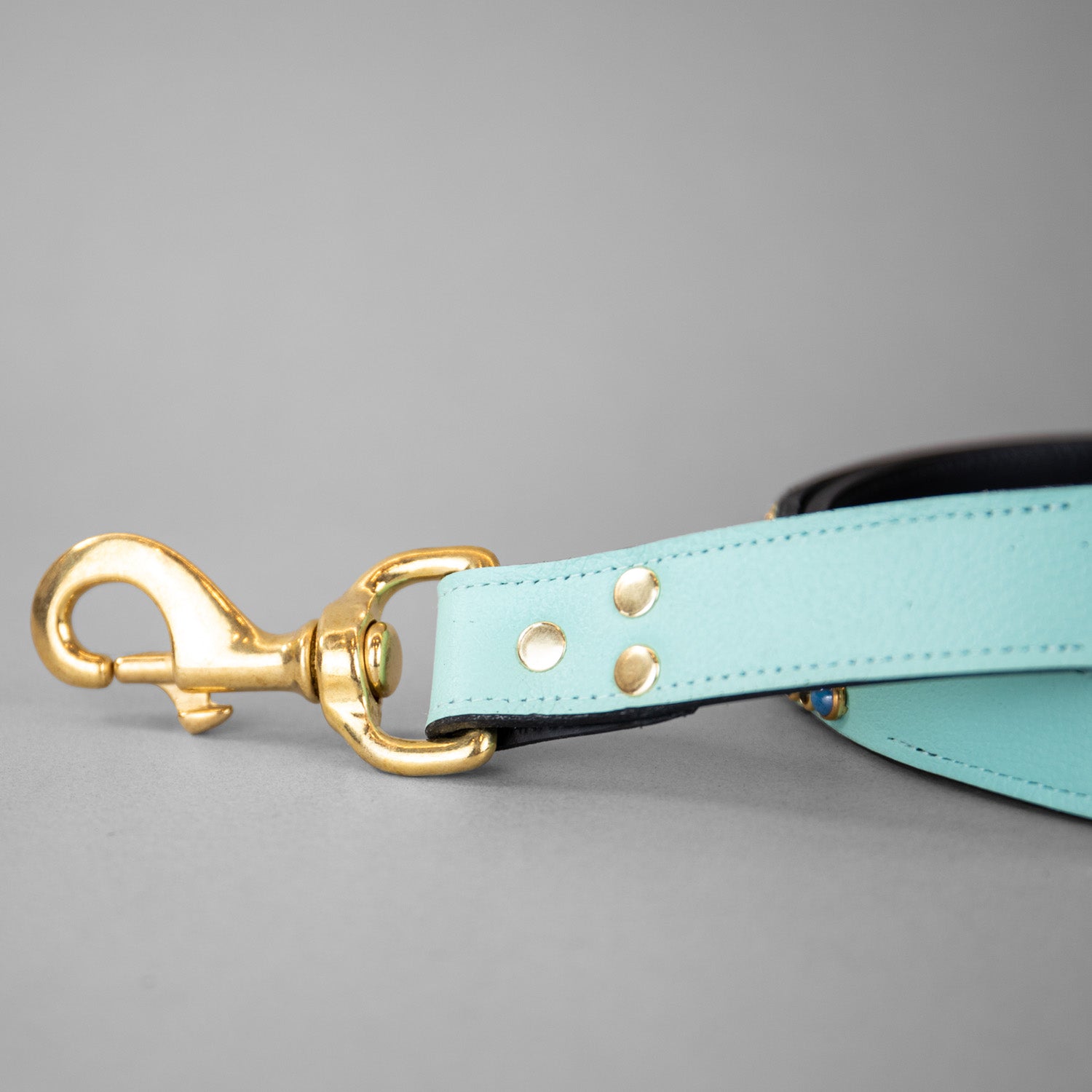 Wonders of the World Leashes