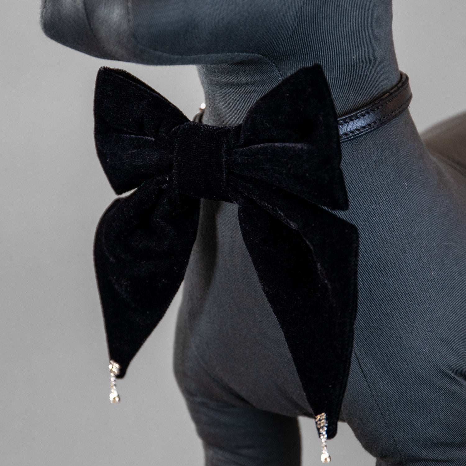 Glistening Velvet Bow