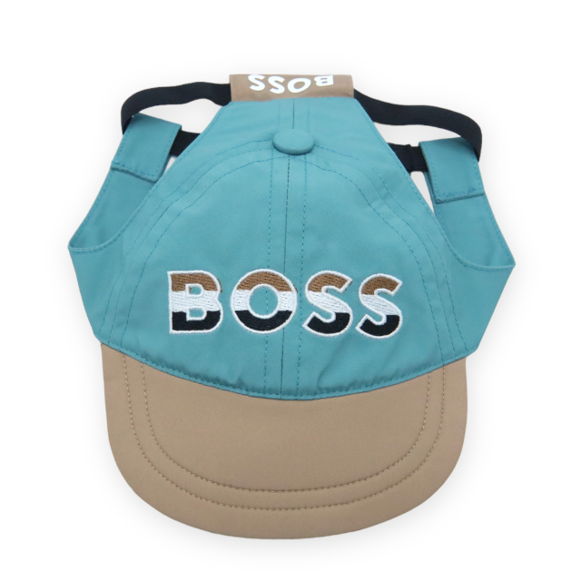 BOSS City Hat