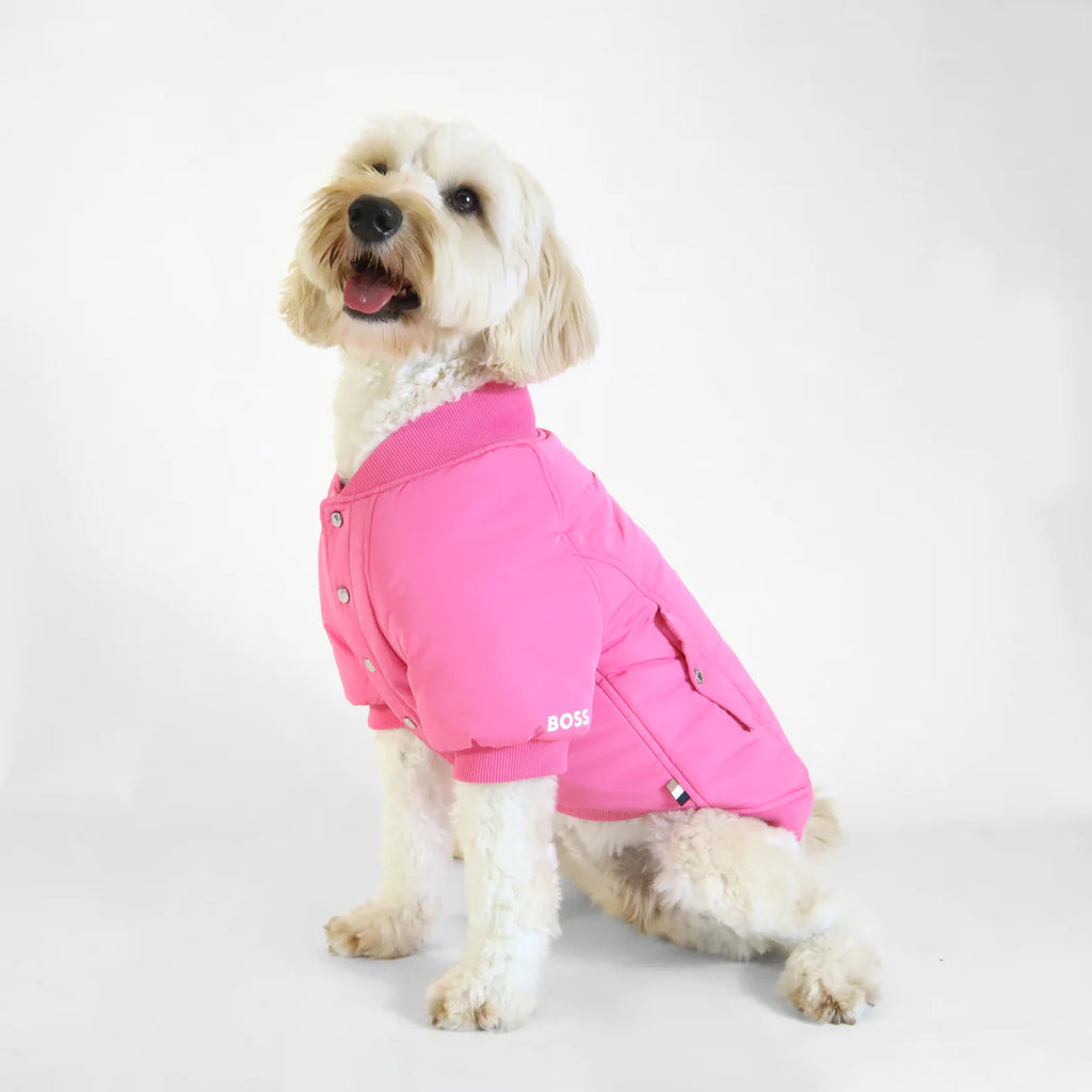 BOSS Buttondown Bomber Jacket for Dogs