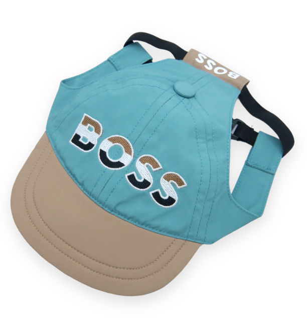 BOSS City Hat