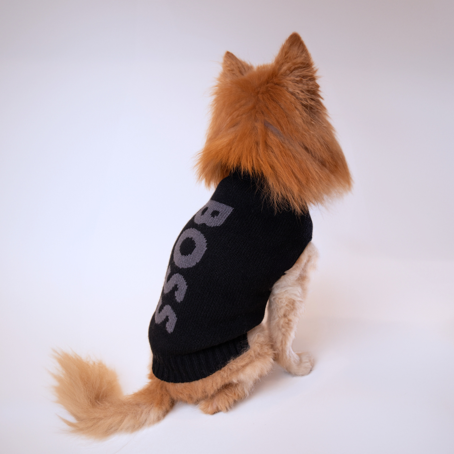 Black Hugo Boss sweater for dogs