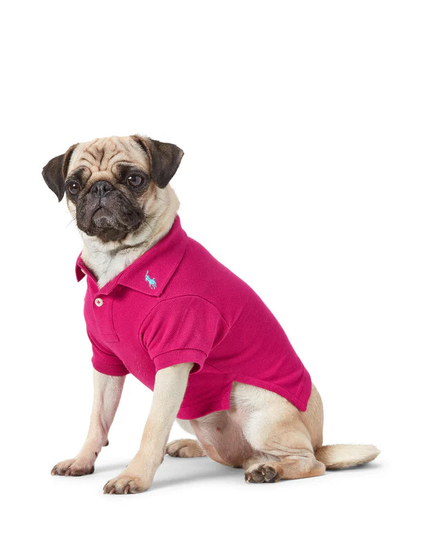 Ralph Lauren Pastel Polo