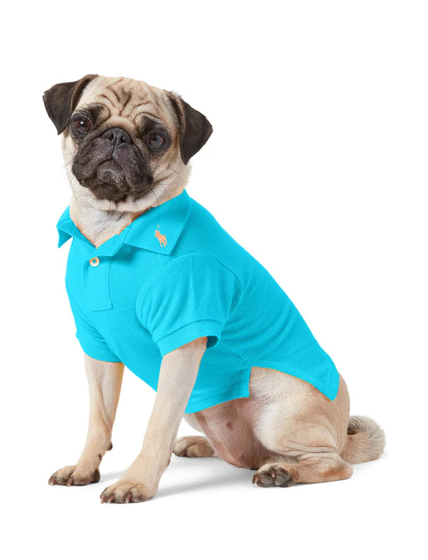 Ralph Lauren Pastel Polo