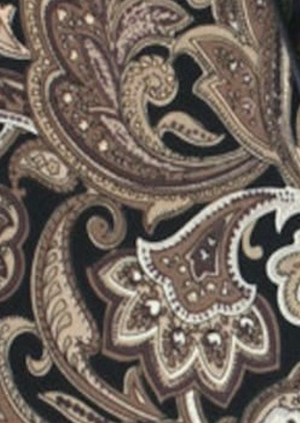 Paisley Tie