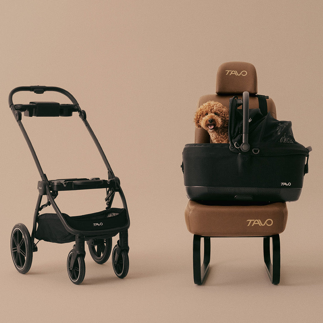 2-in-1 ISO Protection System
