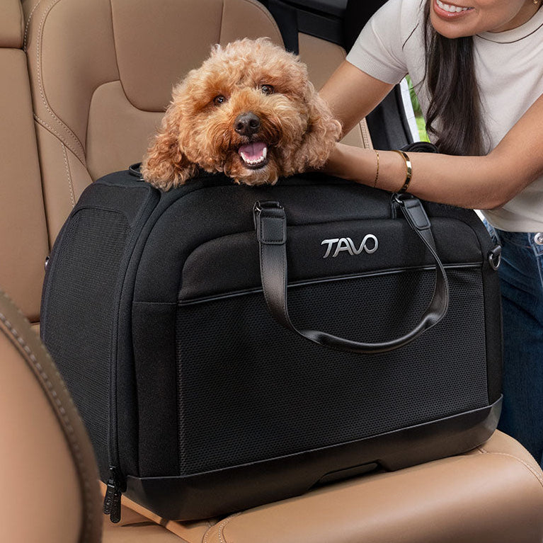 Hendrick Travel System