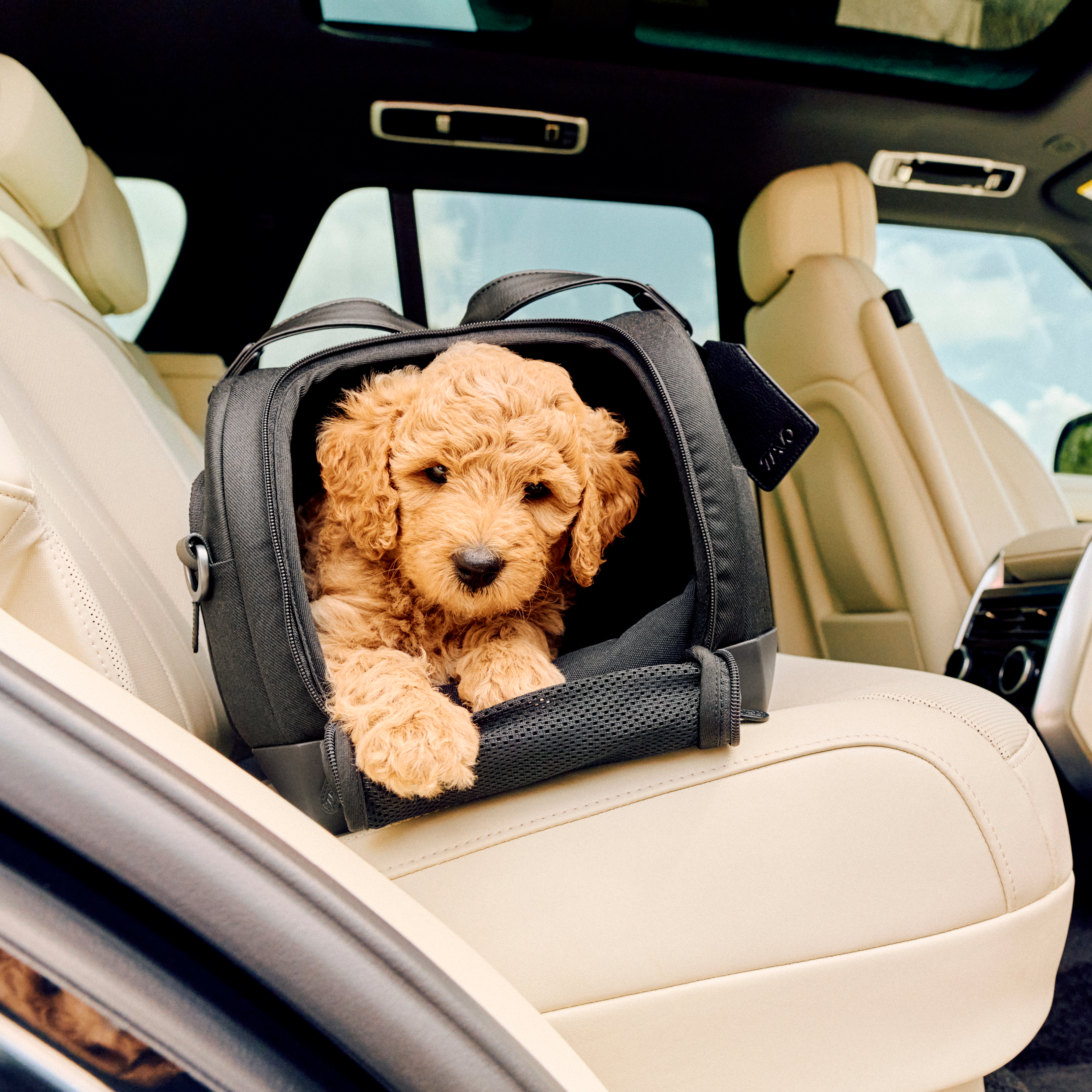 Dupree II Travel System