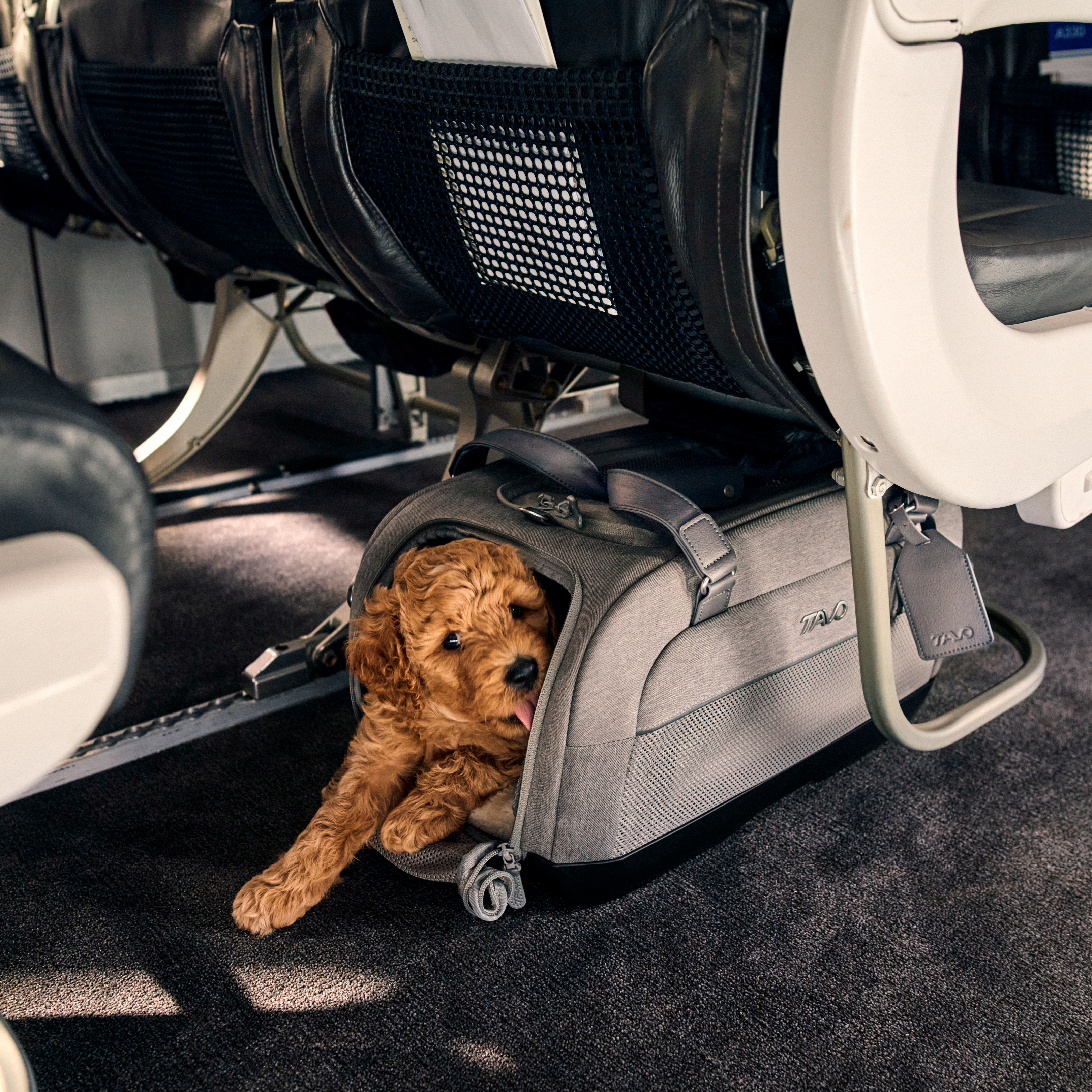 Dupree II Travel System