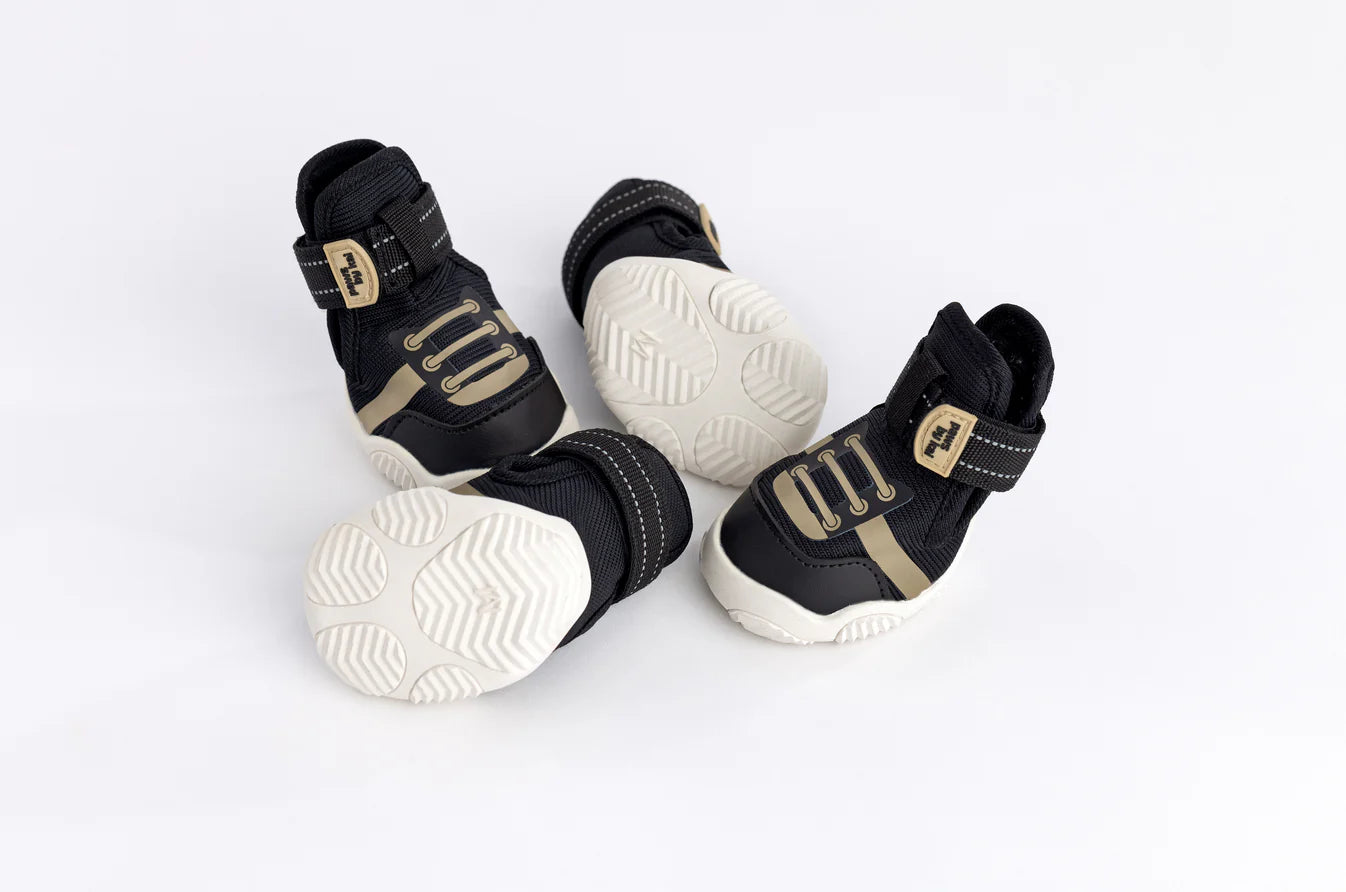 The Kai Shoe