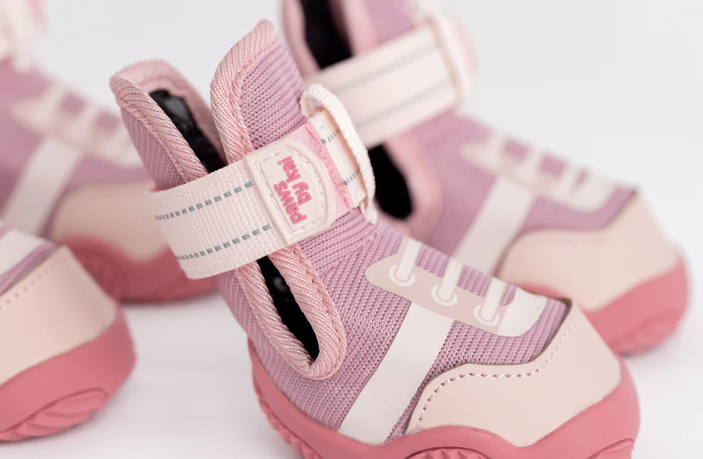 The Kai Shoe