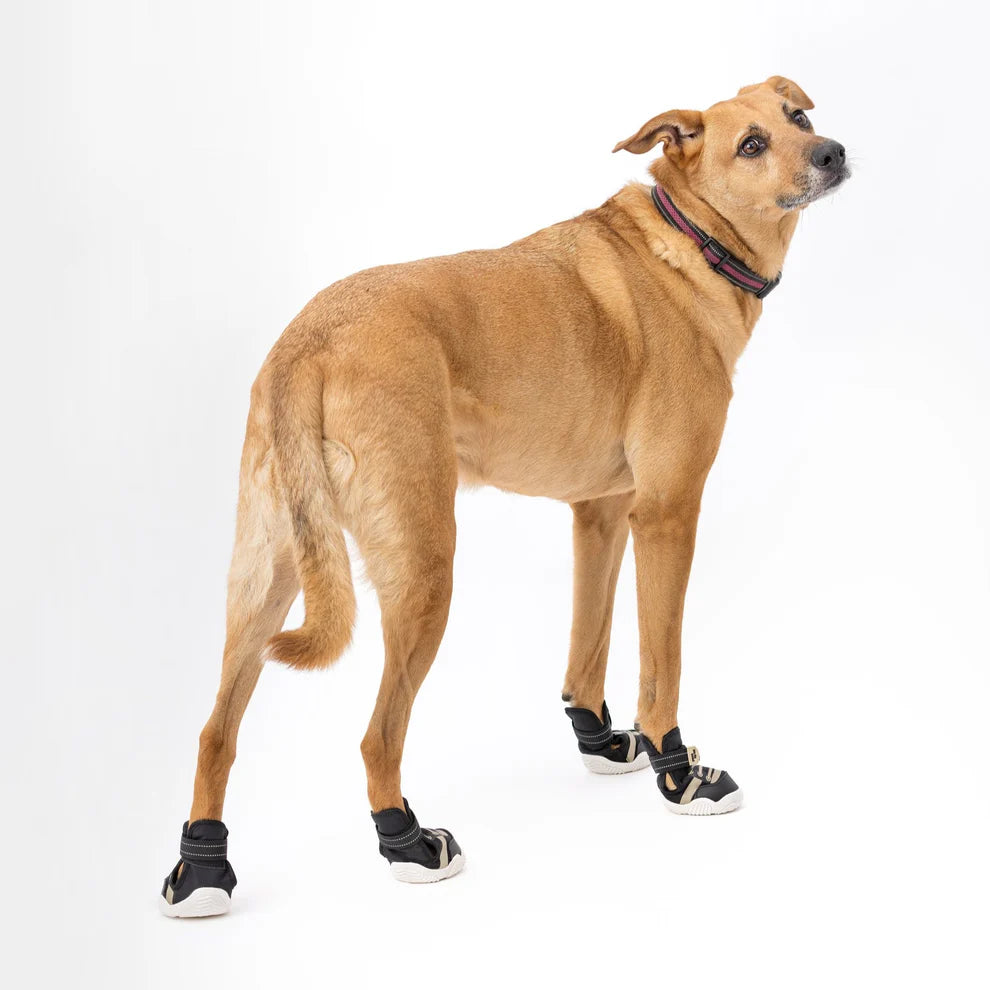 The Kai Shoe