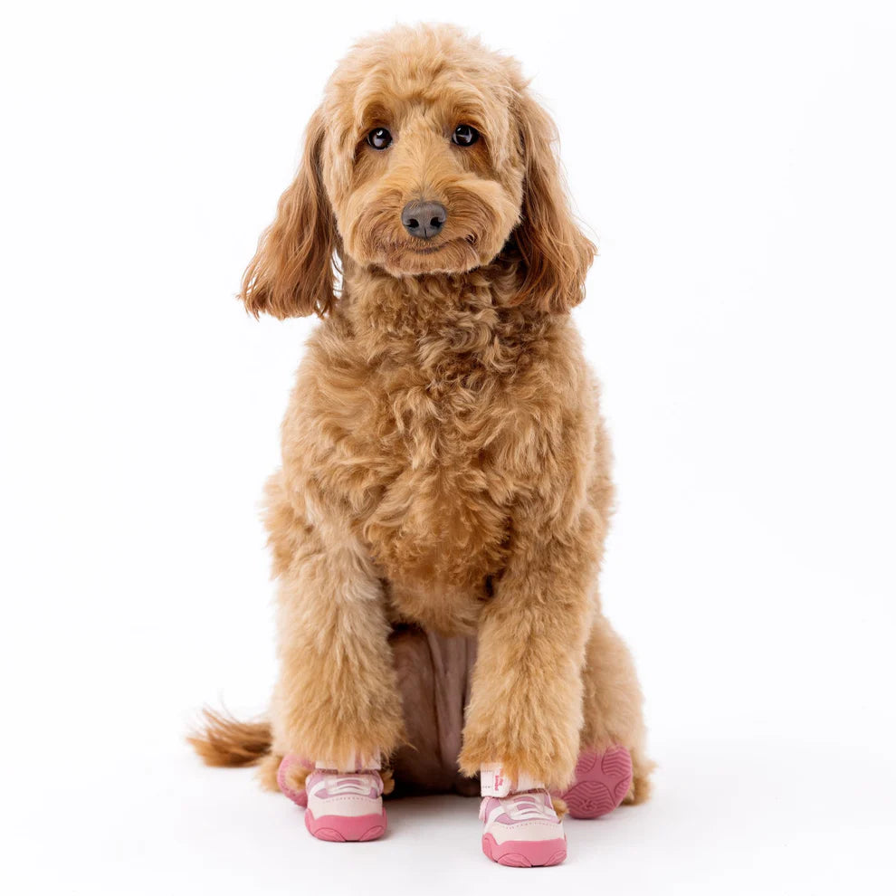 The Kai Shoe