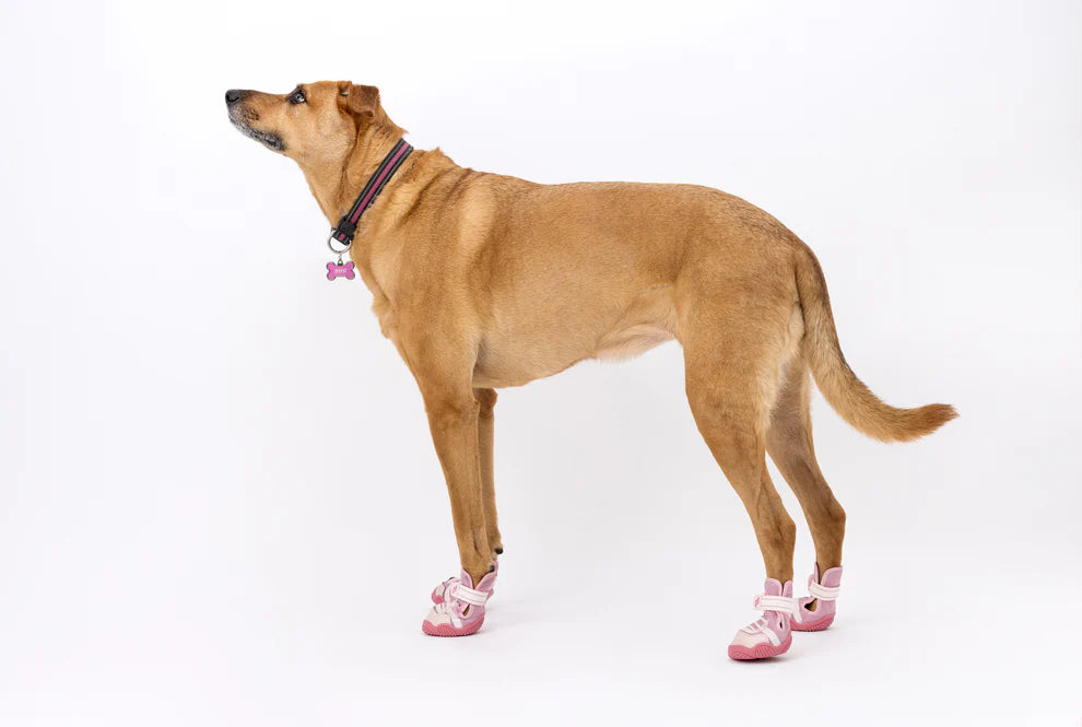 The Kai Shoe