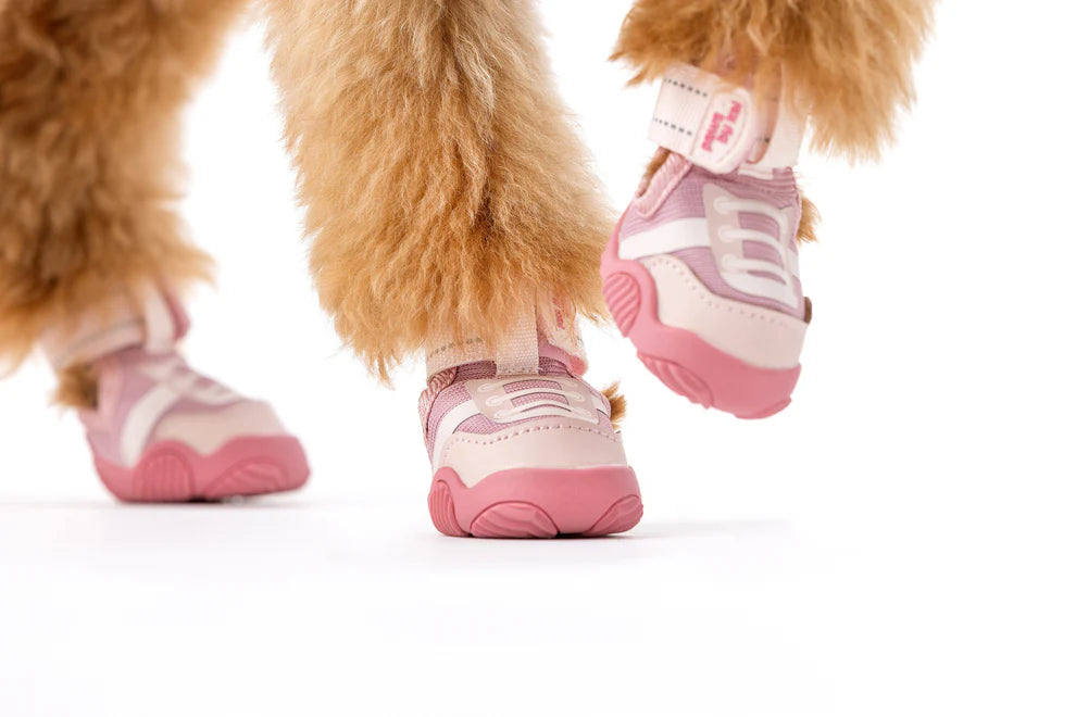 The Kai Shoe