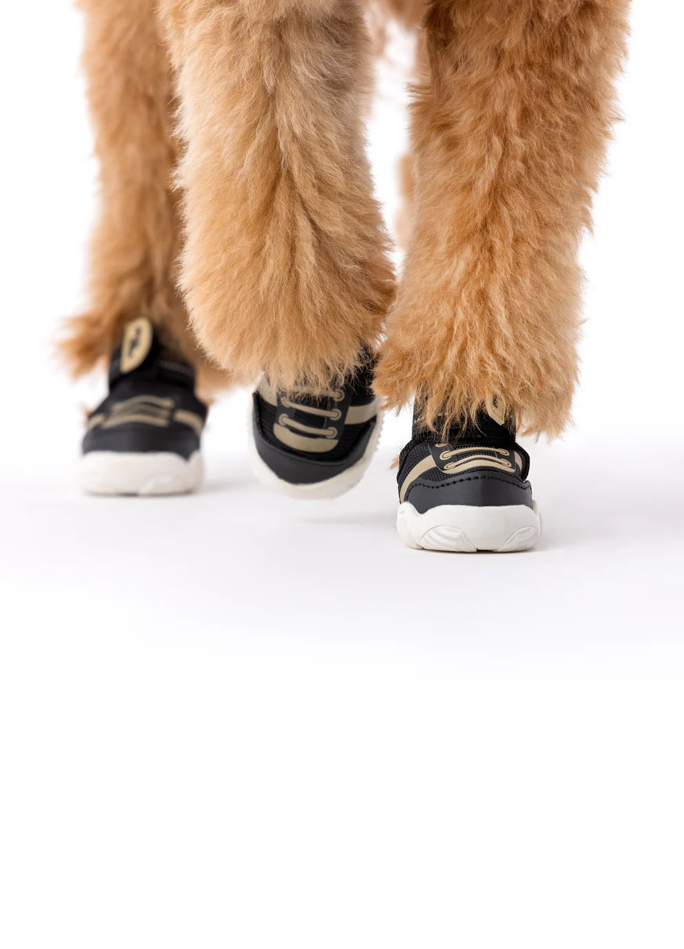 The Kai Shoe