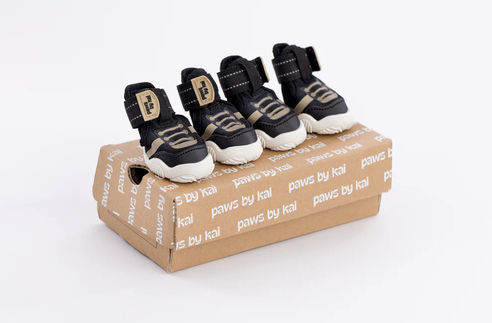 The Kai Shoe