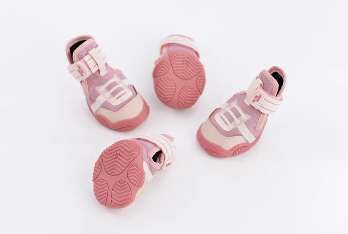 The Kai Shoe