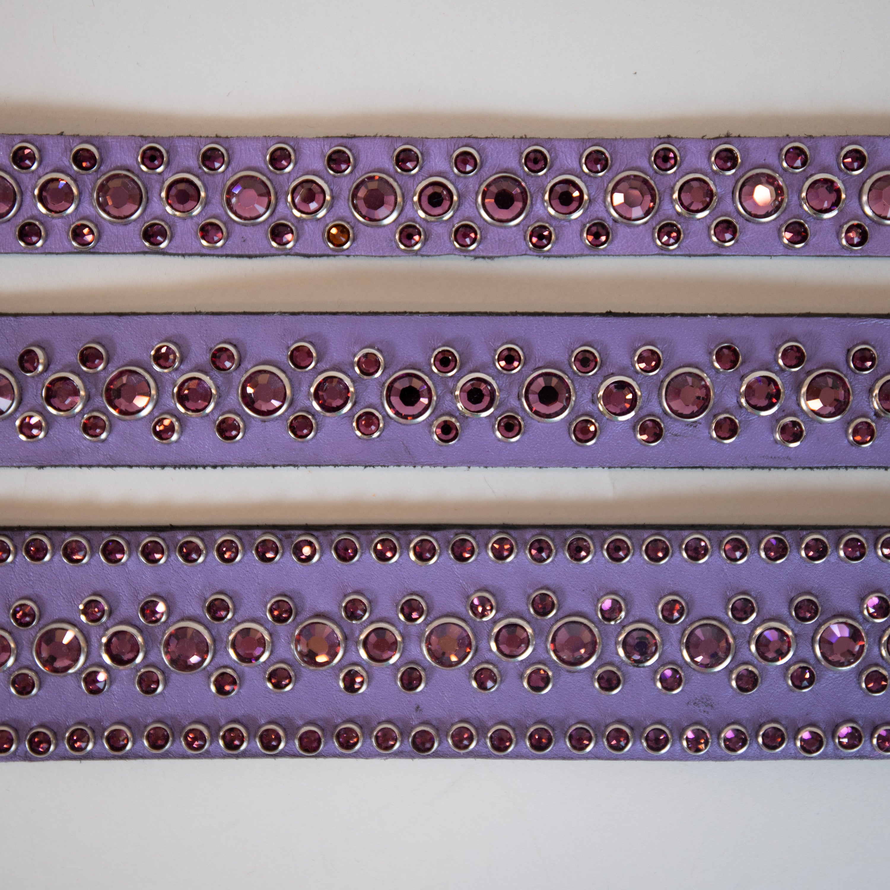 collars for dogs of all sizes