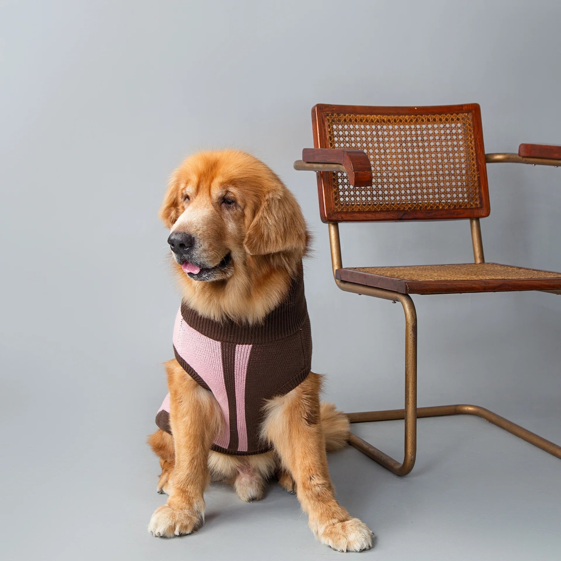Marcy Sweater
