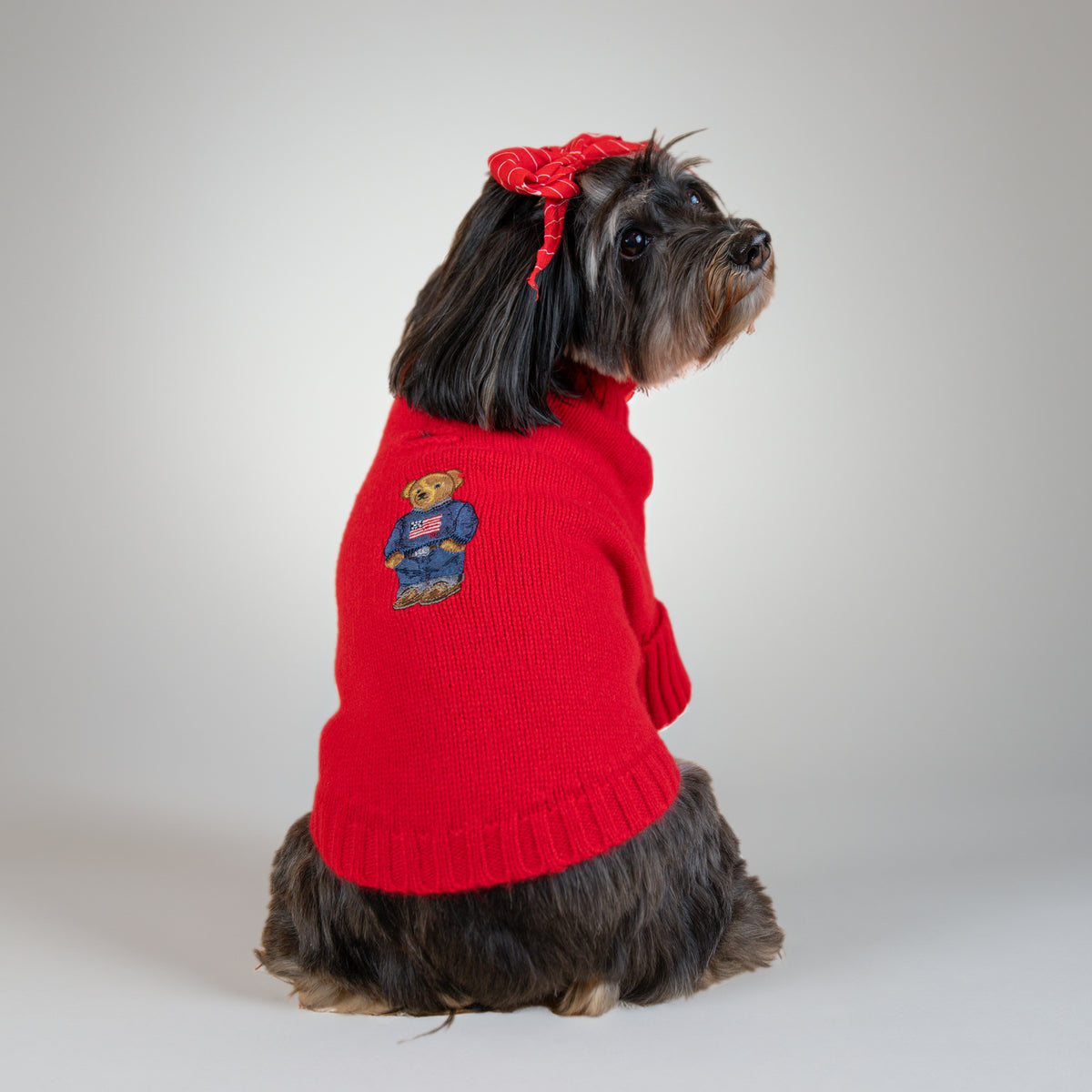 polo ralph lauren dog sweater Ralph Lauren Bear Dog Sweater