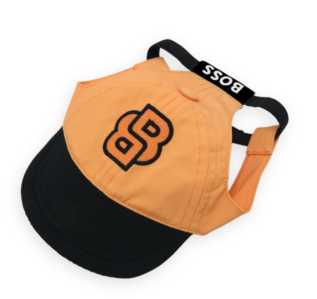 BOSS City Hat